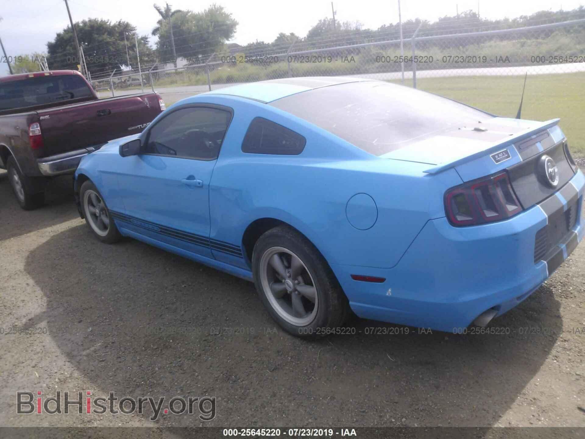 2014 FORD MUSTANG - VIN: 1ZVBP8AM4E5234279 - Фото 3