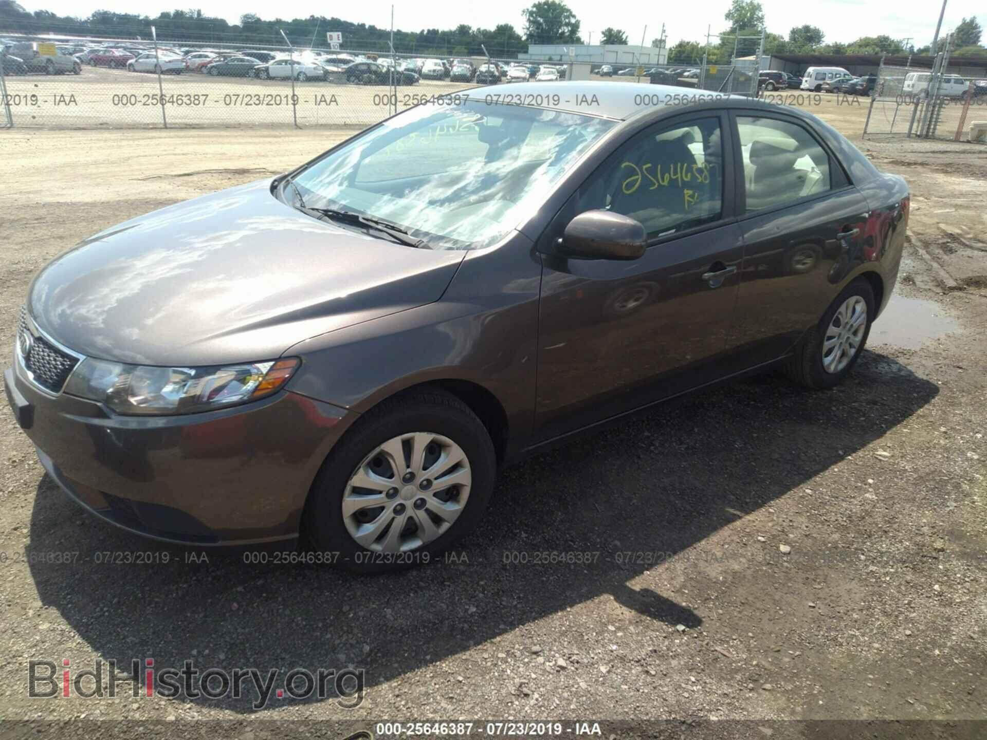 2013 KIA FORTE - VIN: KNAFU4A20D5734729 - Фото 2