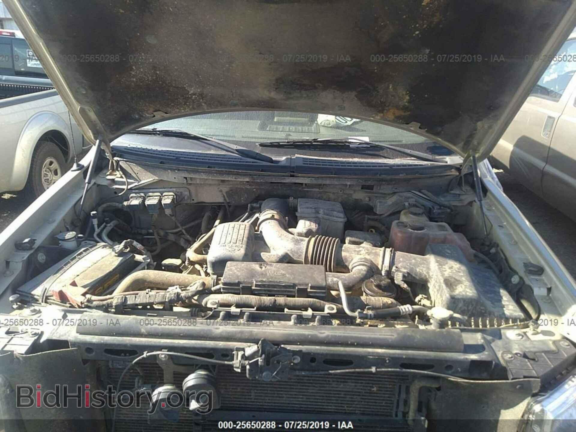 2010 FORD F150 - VIN: 1FTFW1EV5AFC81780 - Фото 10