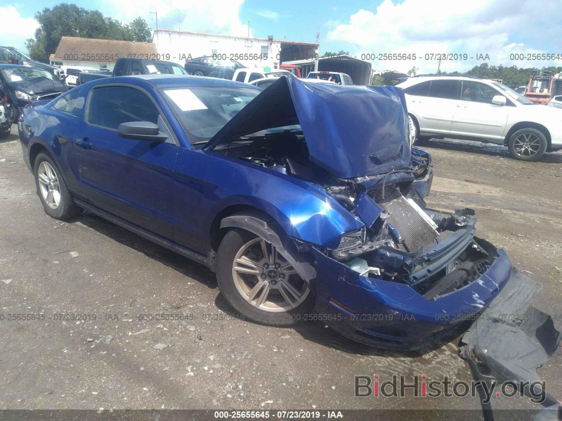 Photo 1ZVBP8AM8D5215572 - FORD MUSTANG 2013