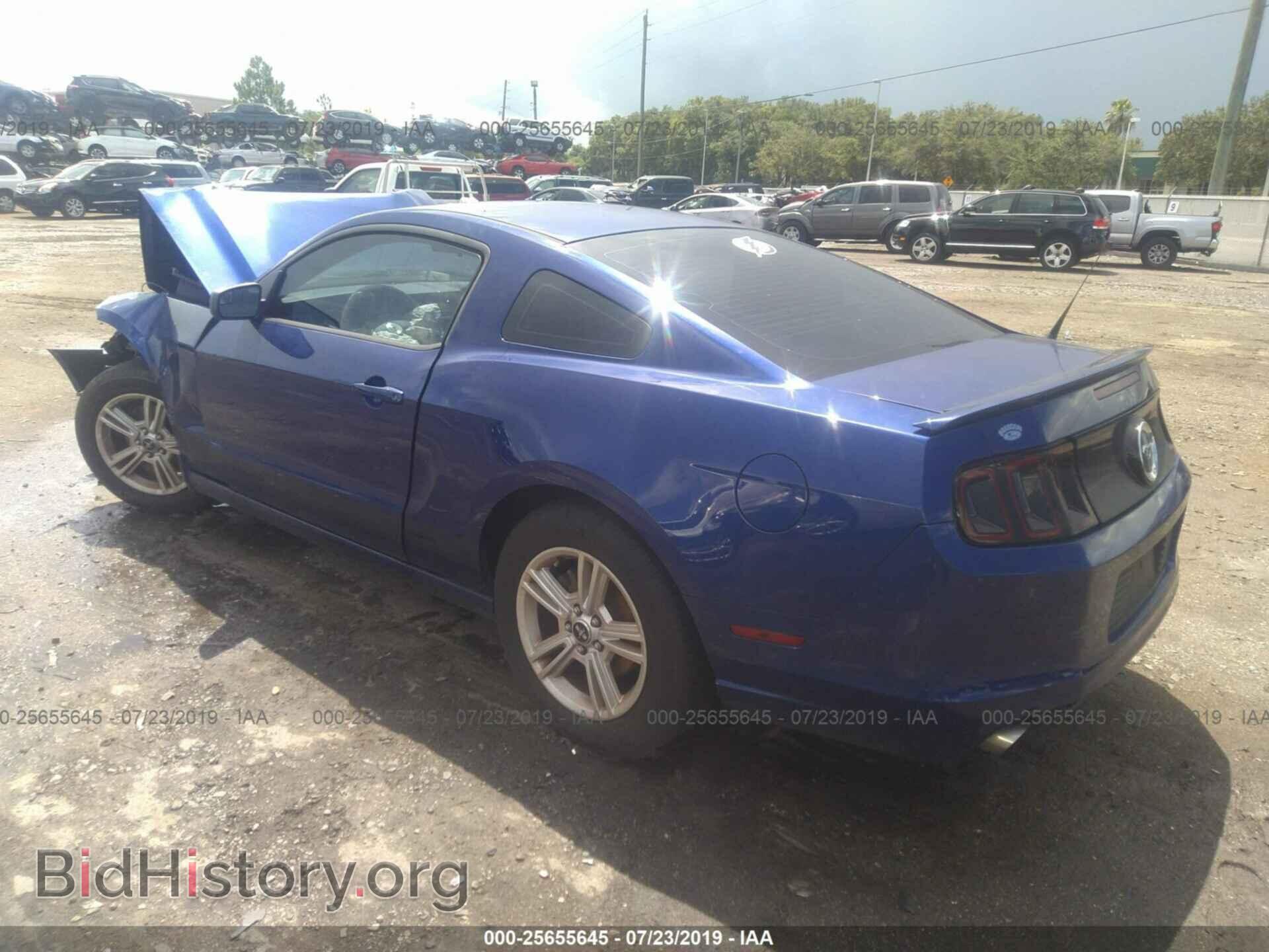 2013 FORD MUSTANG - VIN: 1ZVBP8AM8D5215572 - Фото 3