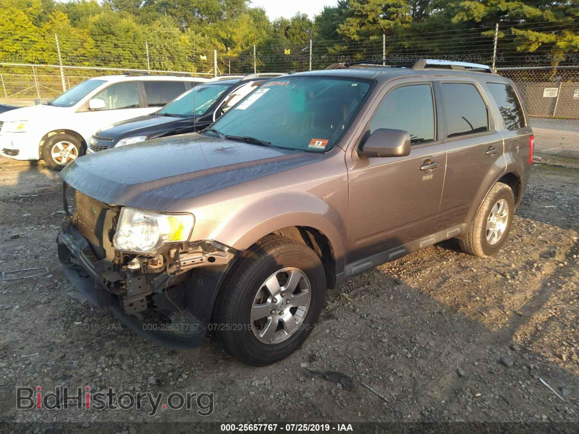 2011 FORD ESCAPE - VIN: 1FMCU9EG9BKC58600 - Фото 2