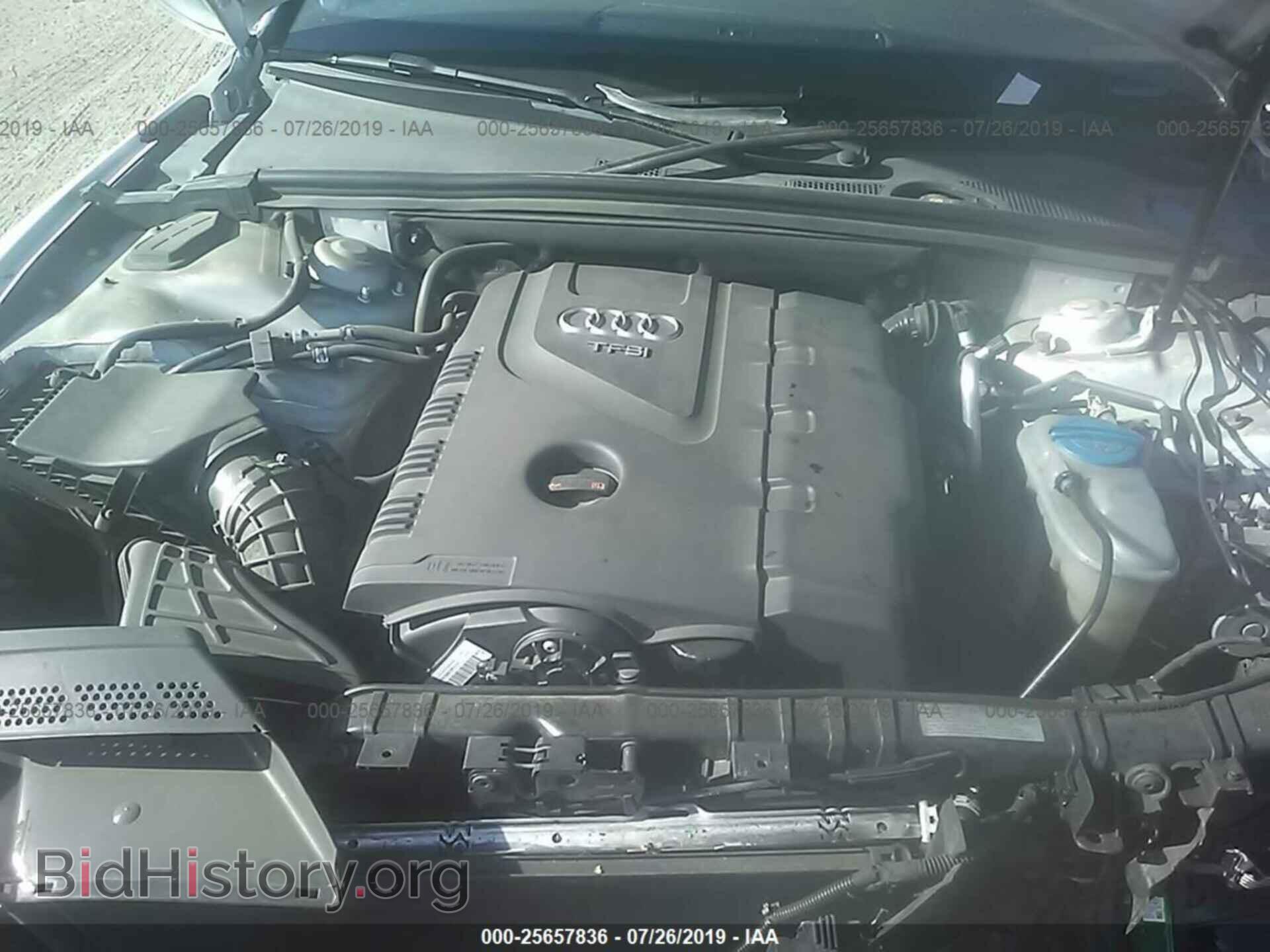 2013 AUDI A5 - VIN: WAULFAFR6DA001058 - Фото 10