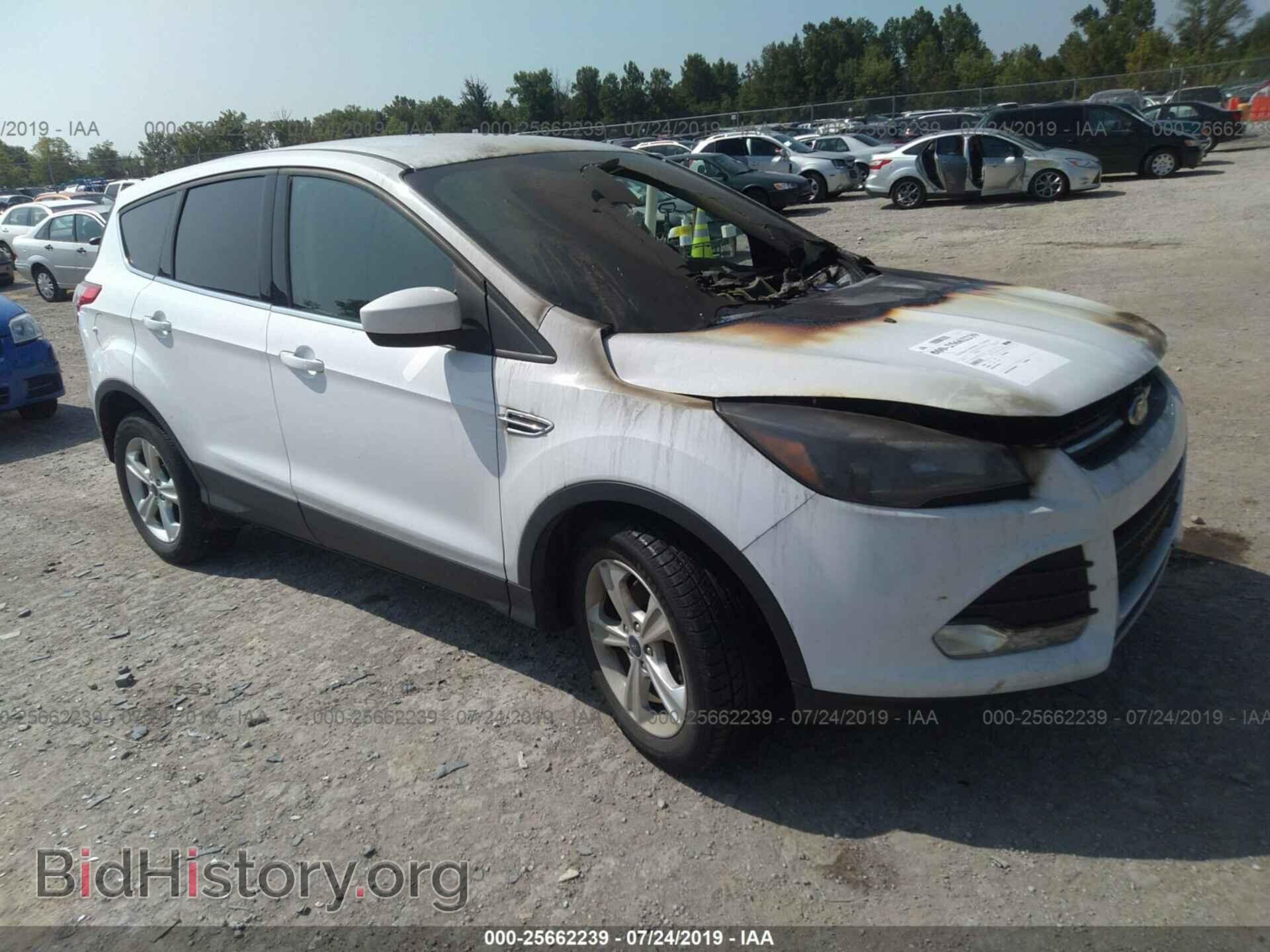 Фотография 1FMCU0GX9EUD15556 - FORD ESCAPE 2014