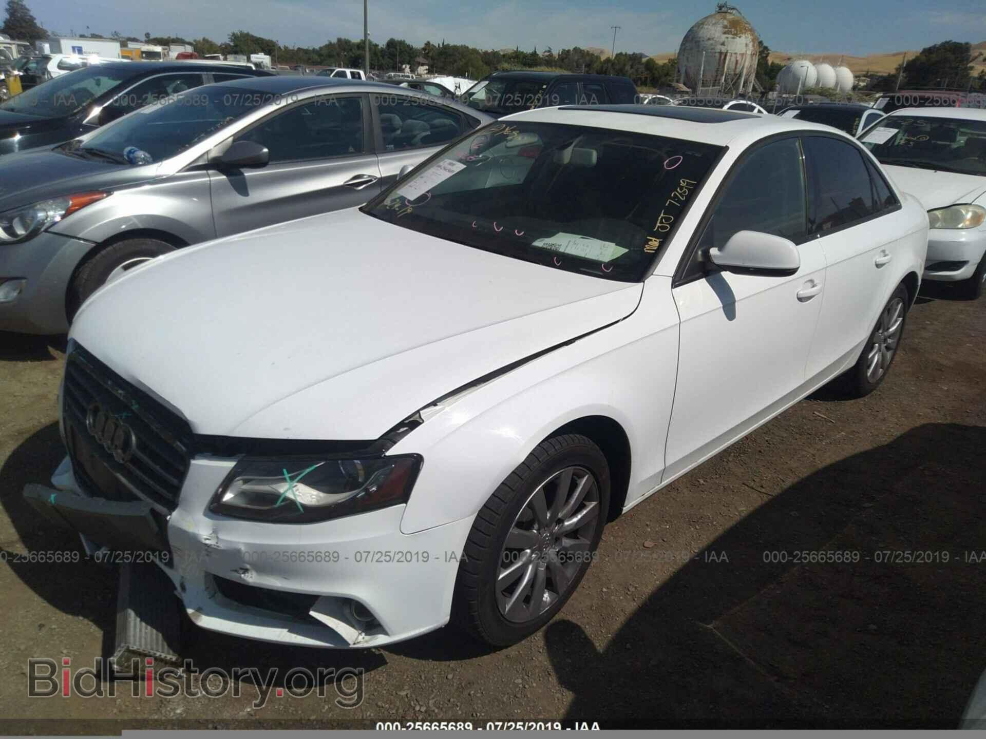 2010 AUDI A4 - VIN: WAUEFAFL6AN020265 - Фото 2