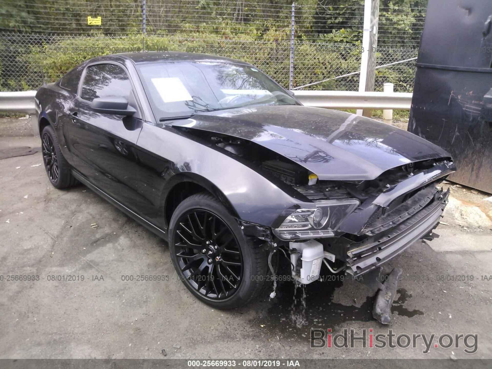 Photo 1ZVBP8AM4D5248861 - FORD MUSTANG 2013