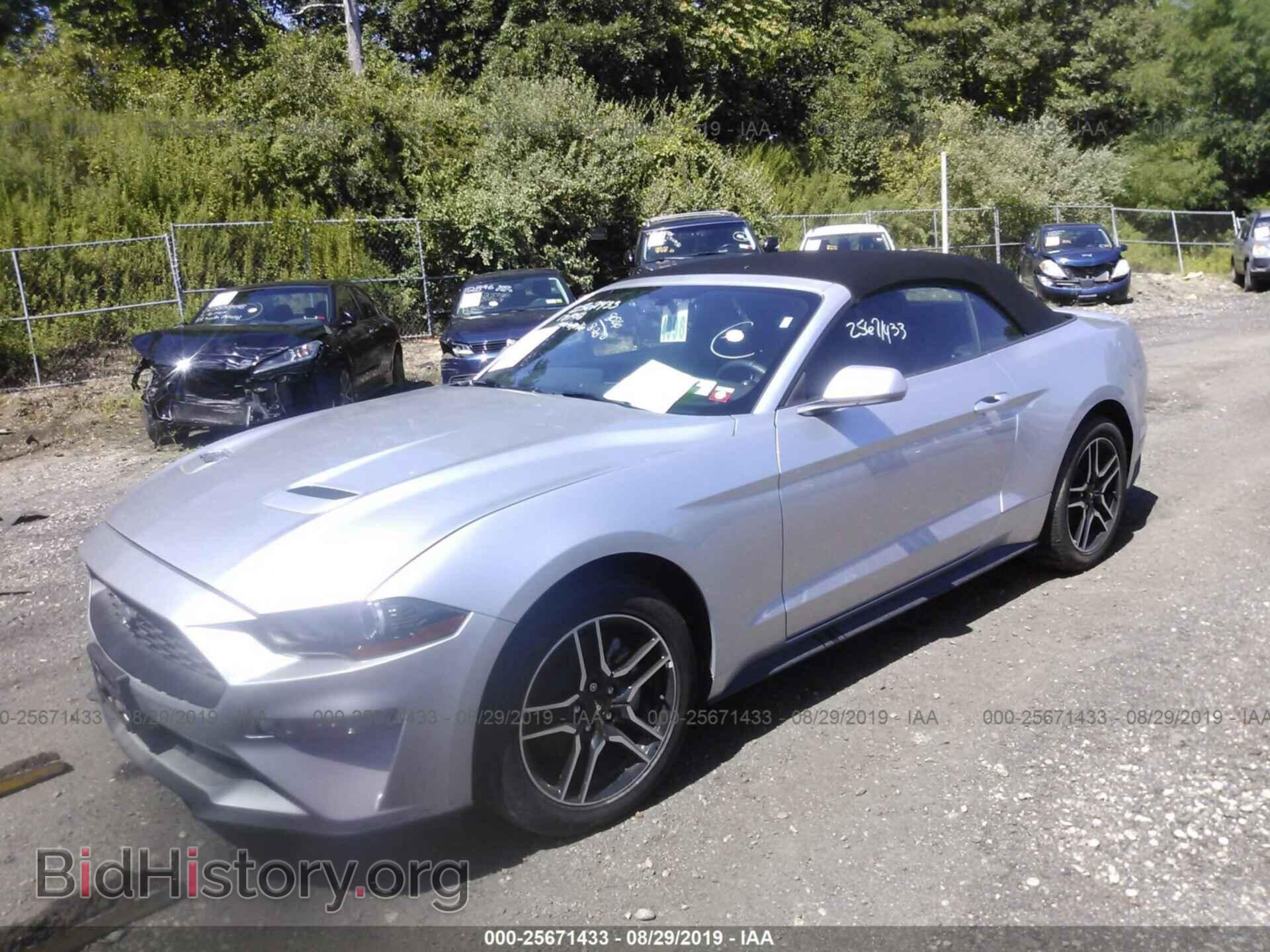 2019 FORD MUSTANG - VIN: 1FATP8UH6K5169894 - Фото 2