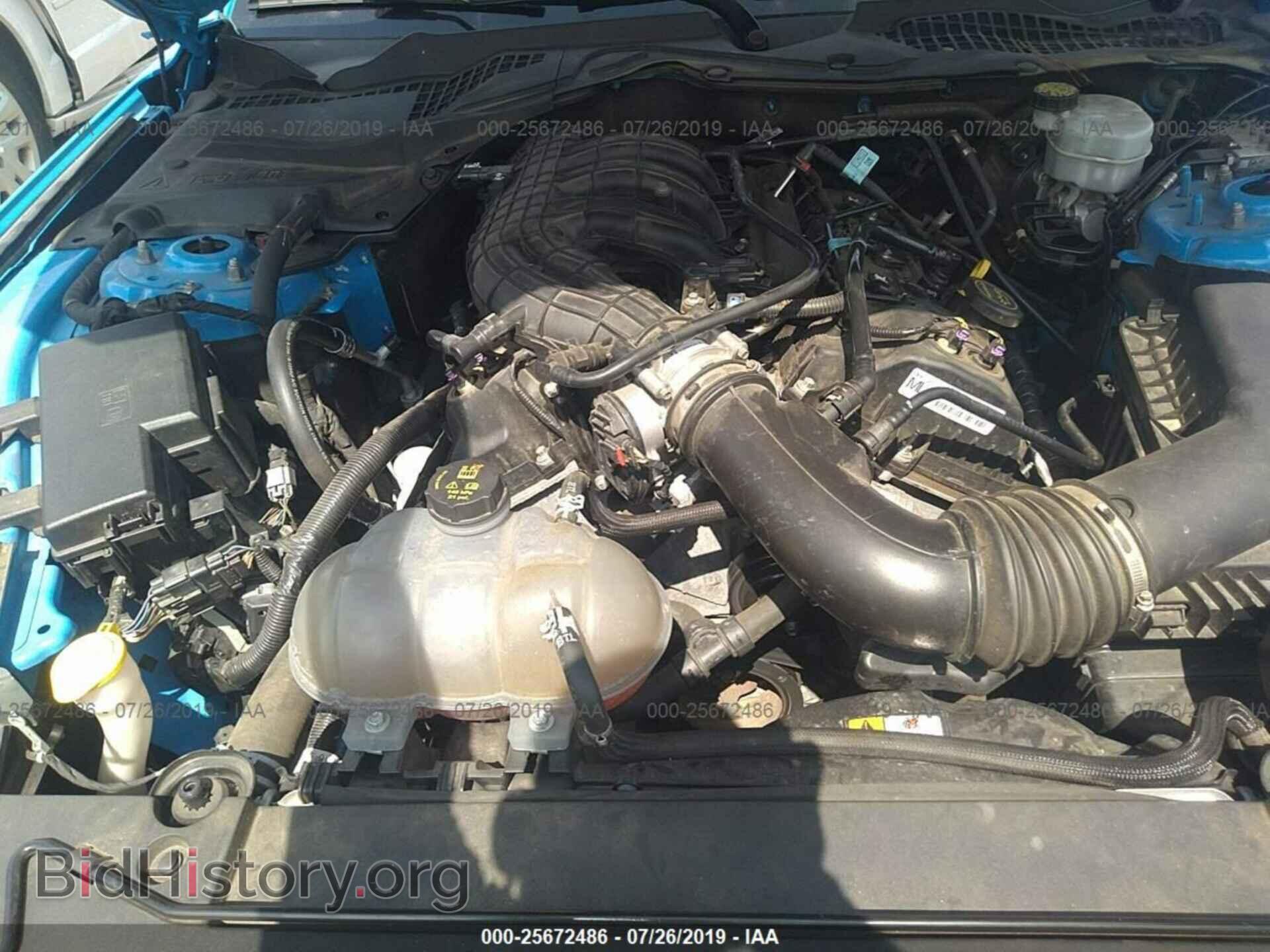 2017 FORD MUSTANG - VIN: 1FA6P8AM9H5271908 - Photo 10