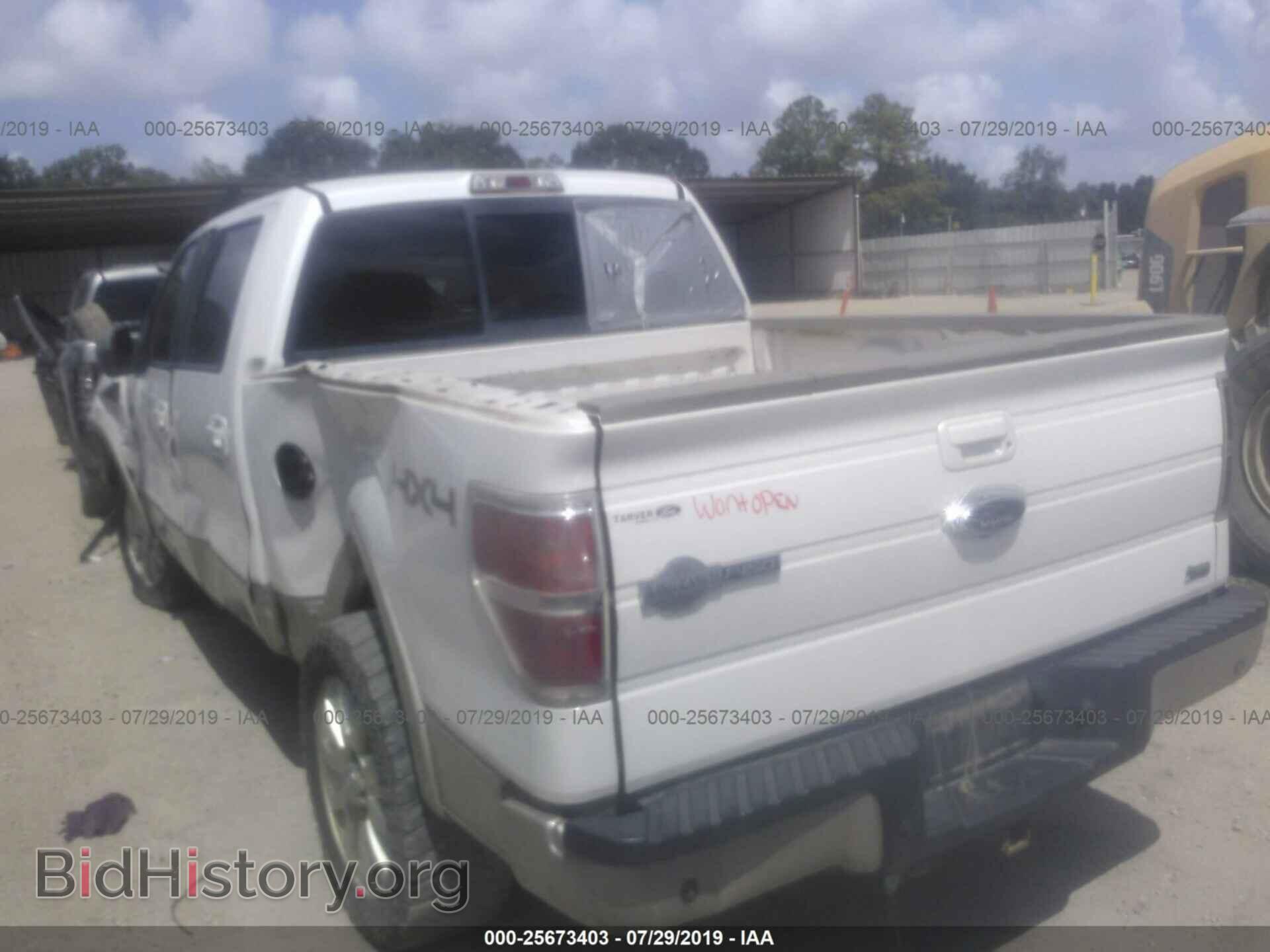 2010 FORD F150 - VIN: 1FTFW1EV4AKE47181 - Фото 3