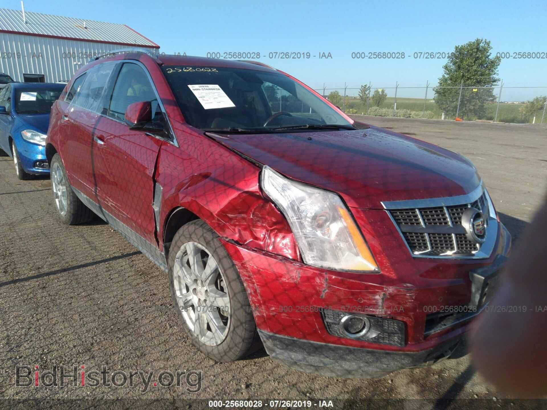 Photo 3GYFNFEY4BS626444 - CADILLAC SRX 2011