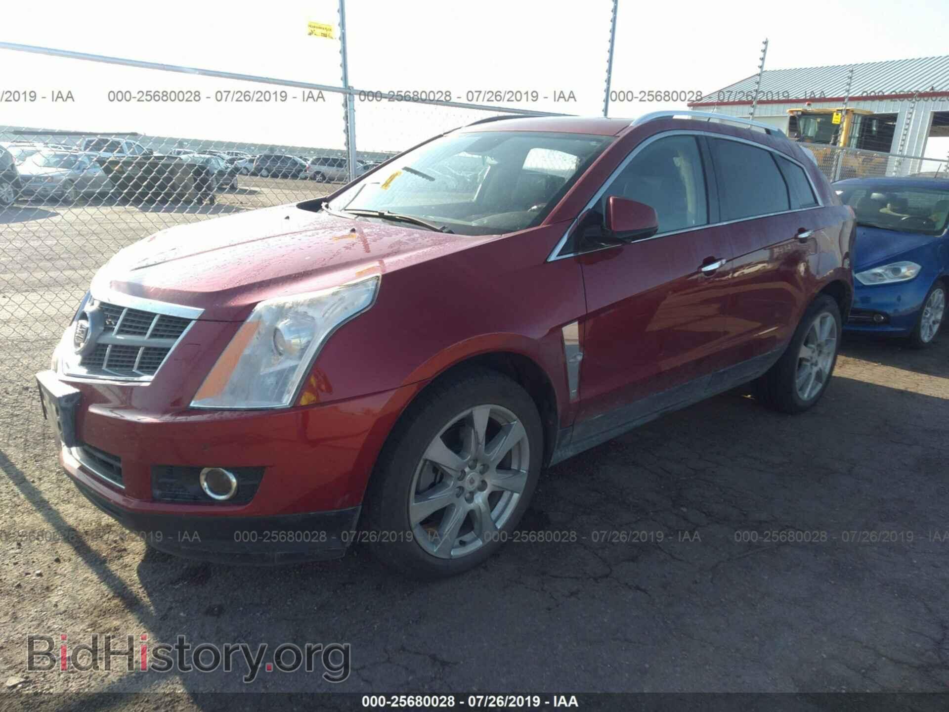 2011 CADILLAC SRX - VIN: 3GYFNFEY4BS626444 - Фото 2