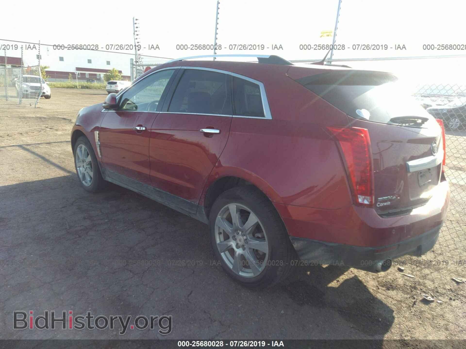 2011 CADILLAC SRX - VIN: 3GYFNFEY4BS626444 - Фото 3