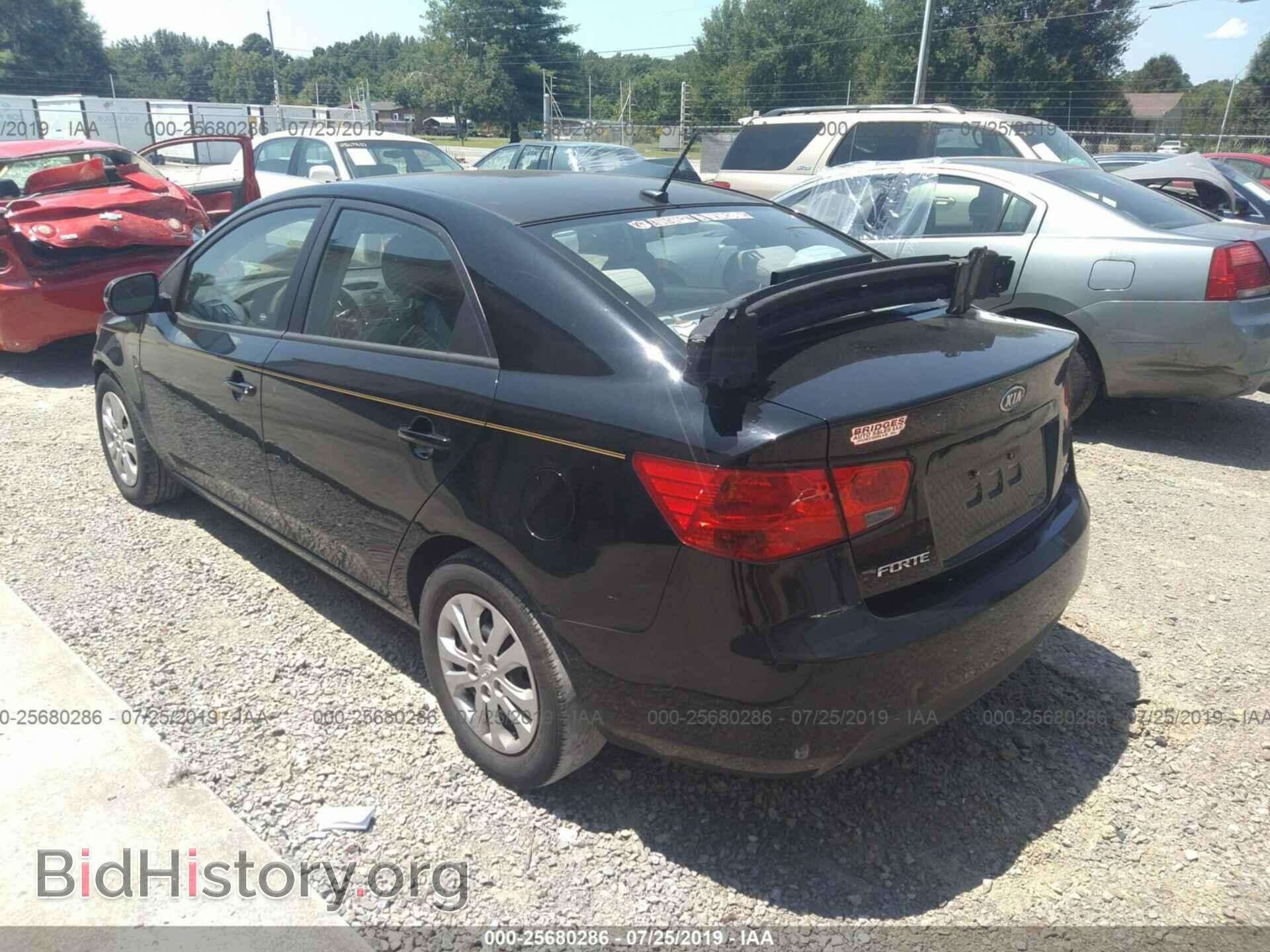 2012 KIA FORTE - VIN: KNAFU4A29C5625362 - Фото 3
