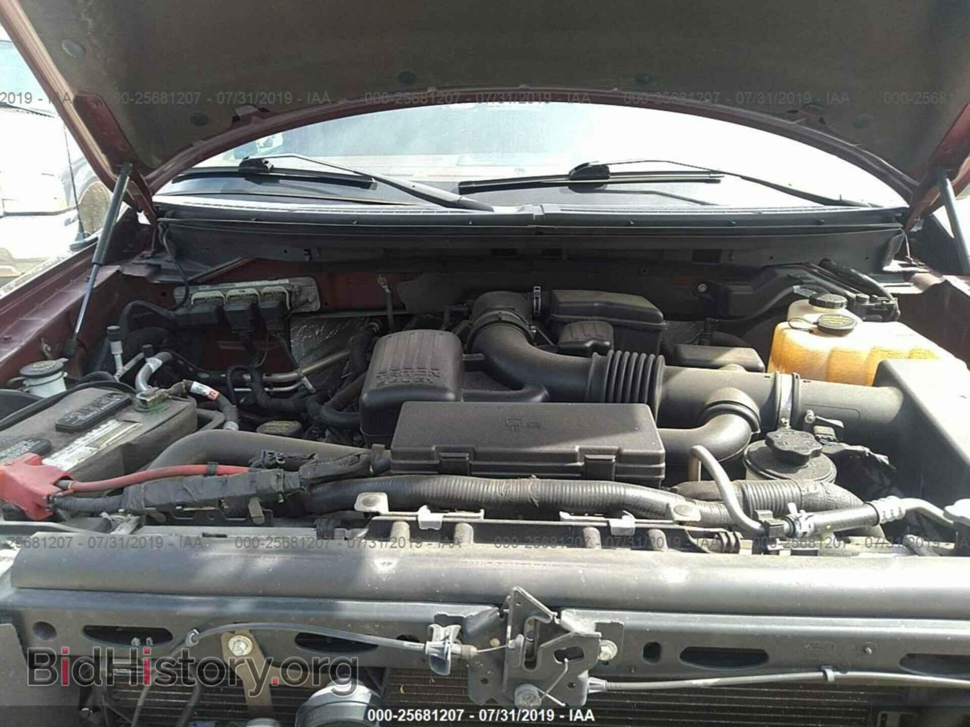 2010 FORD F150 - VIN: 1FTFW1EV1AKE45324 - Фото 10