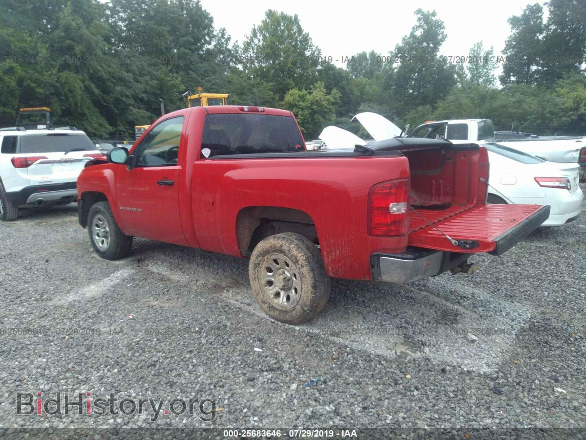 2009 CHEVROLET SILVERADO - VIN: 1GCEC14C19Z162428 - Фото 3