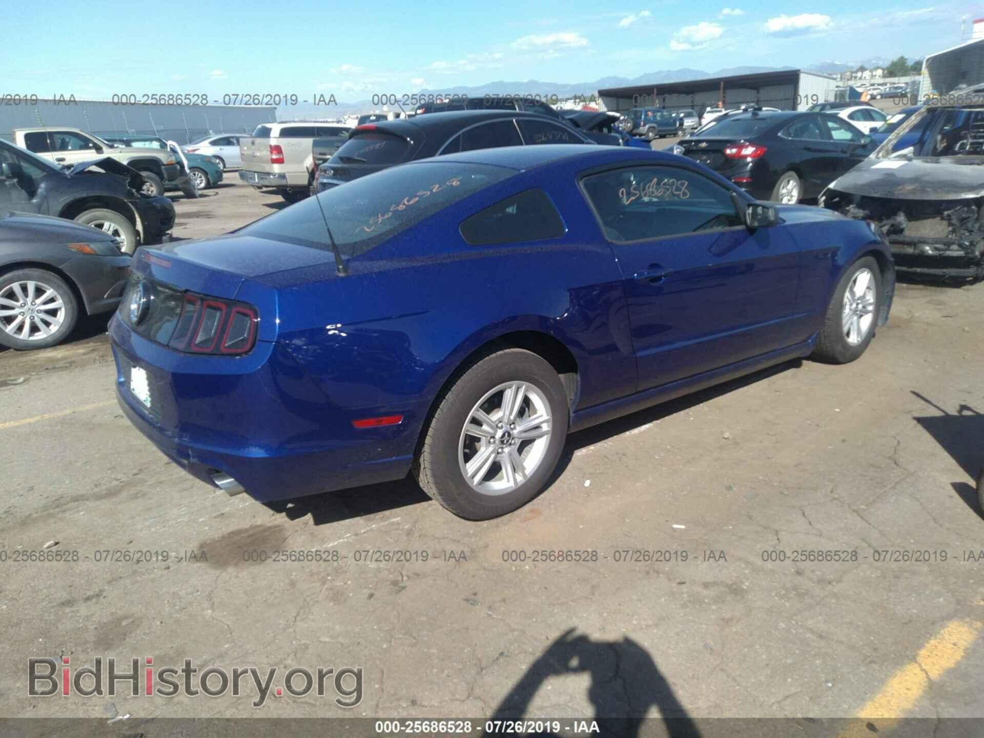 2014 FORD MUSTANG - VIN: 1ZVBP8AM3E5317024 - Фото 4