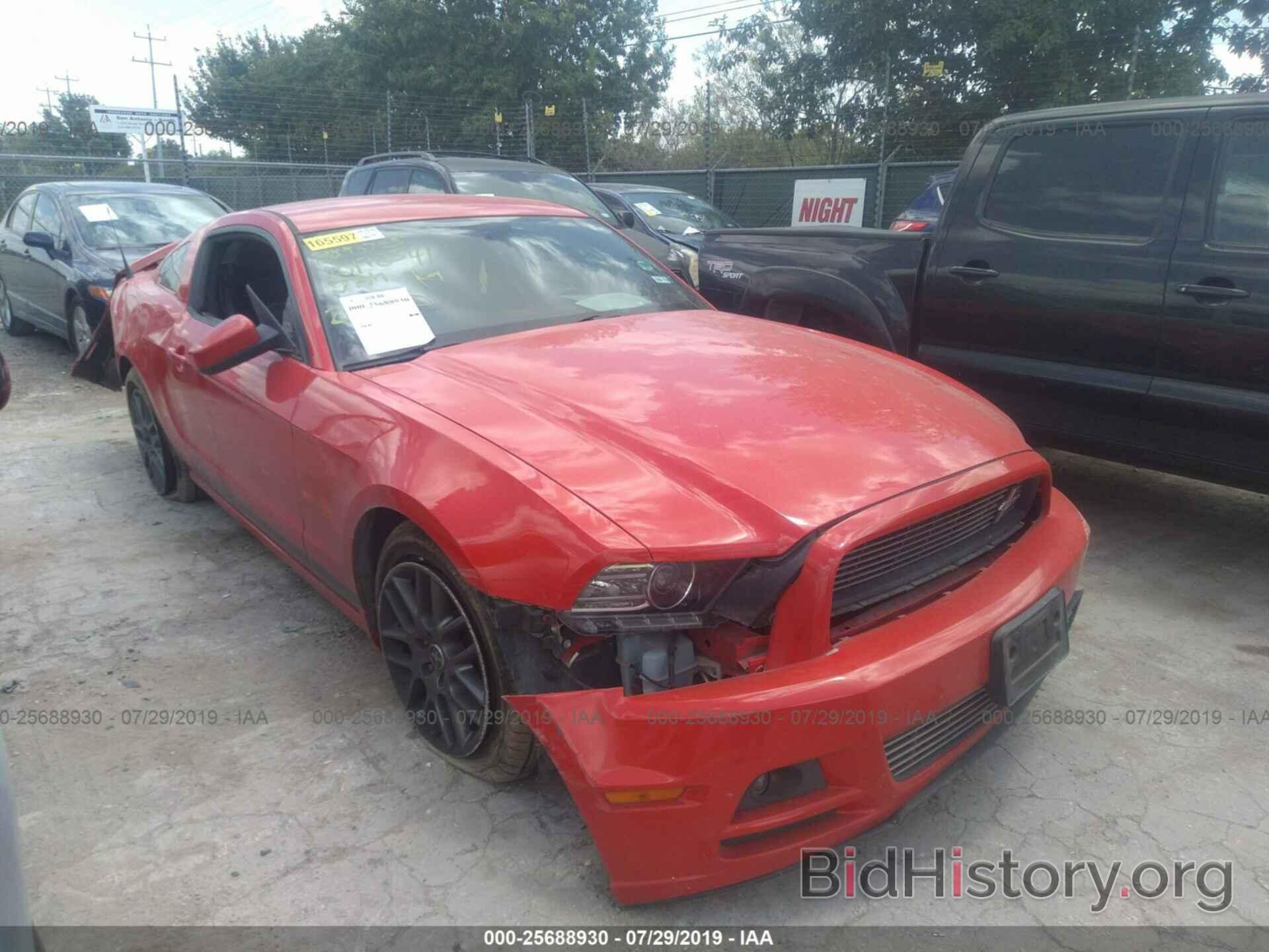 Photo 1ZVBP8AM8D5218780 - FORD MUSTANG 2013
