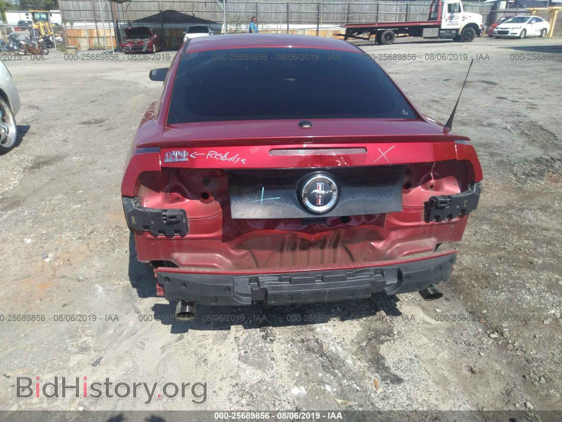 2013 FORD MUSTANG - VIN: 1ZVBP8AM6D5204571 - Фото 6