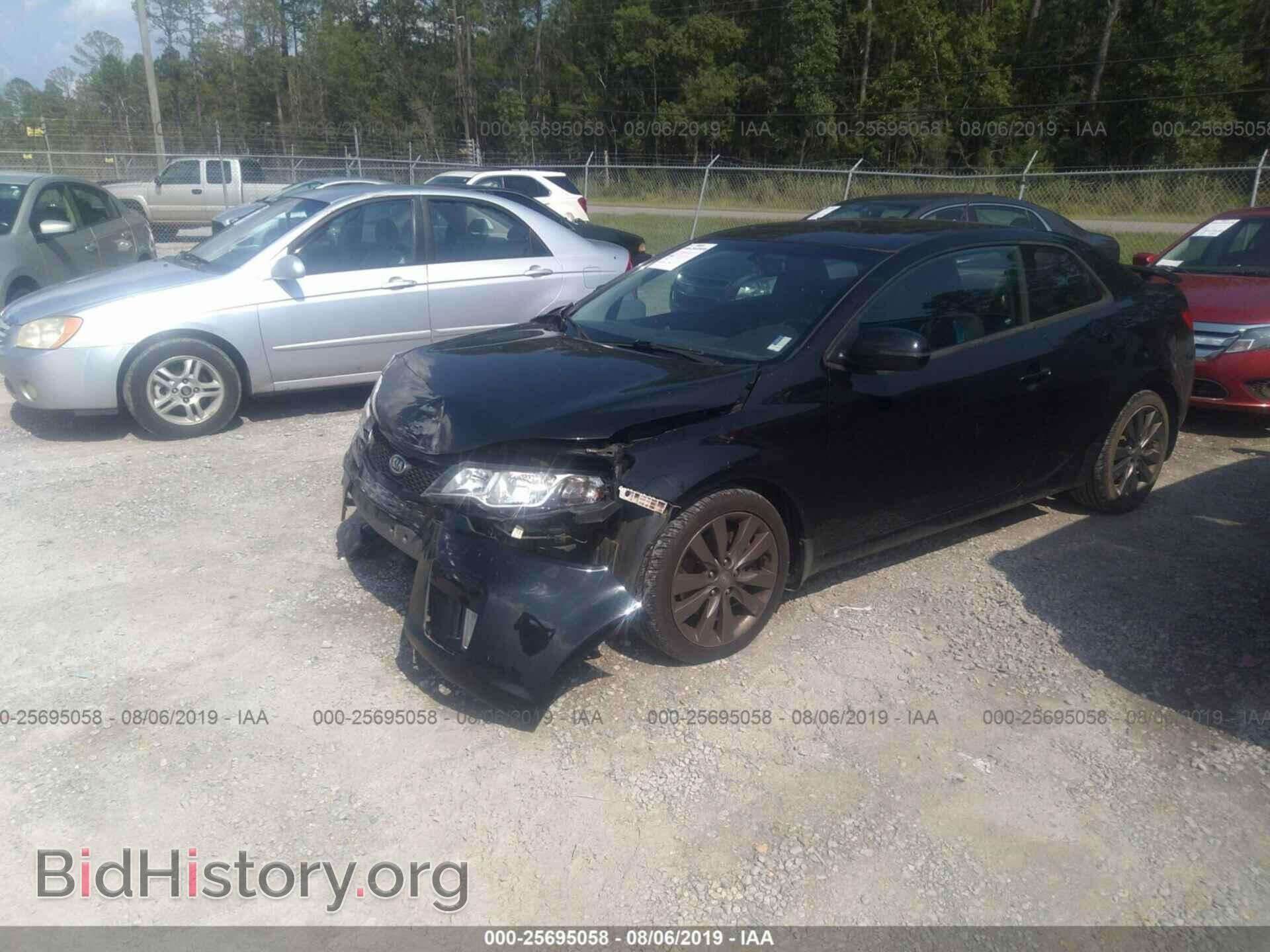 2012 KIA FORTE - VIN: KNAFW6A36C5542261 - Фото 2