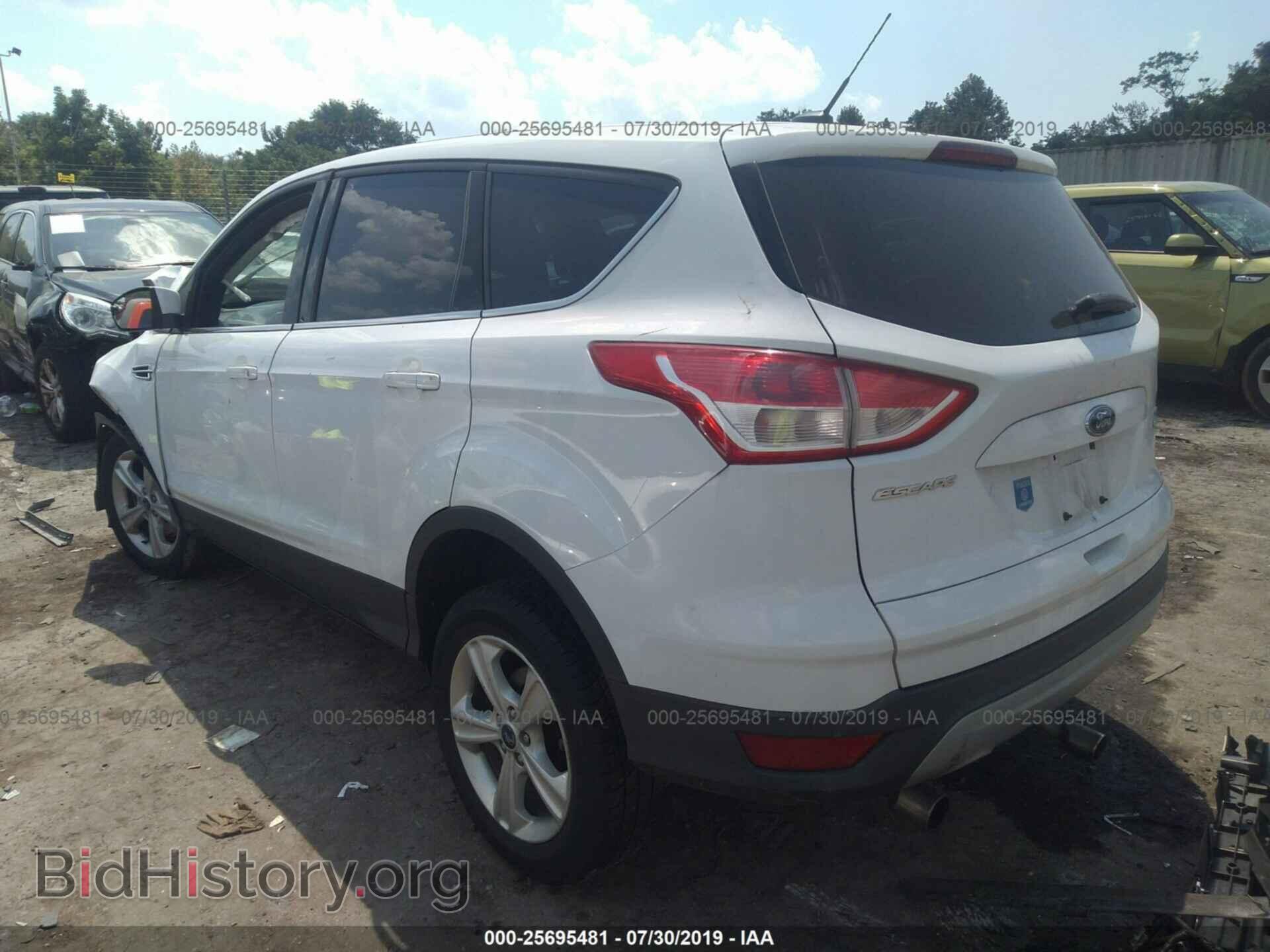 2013 FORD ESCAPE - VIN: 1FMCU9G90DUB09515 - Фото 3