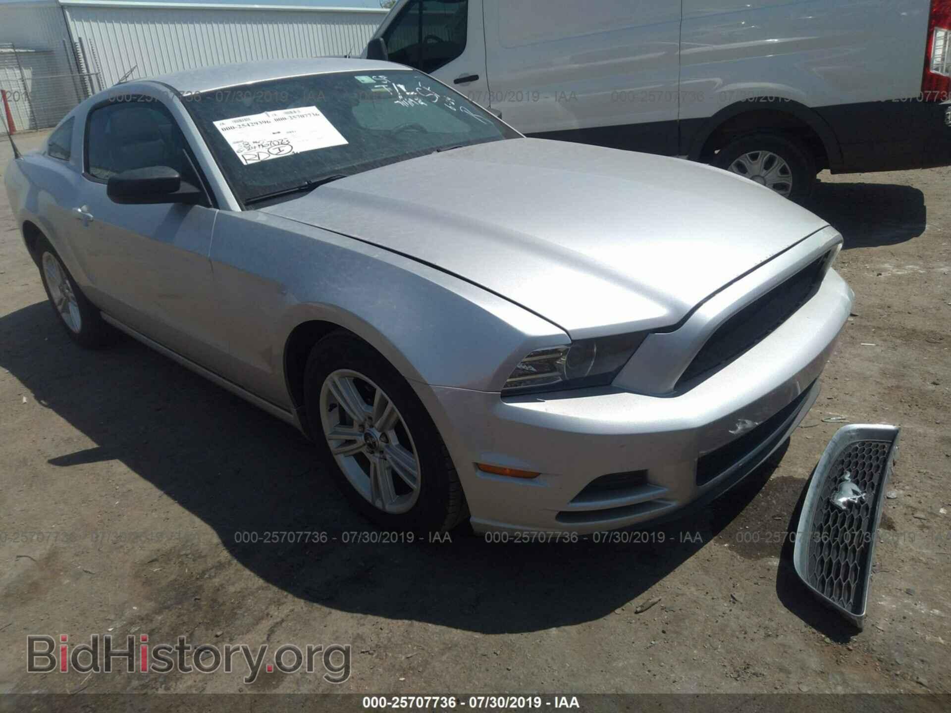Photo 1ZVBP8AM4E5306212 - FORD MUSTANG 2014