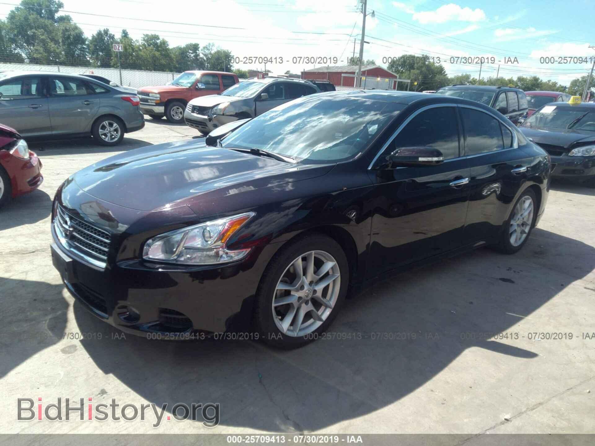 2010 NISSAN MAXIMA - VIN: 1N4AA5AP3AC821092 - Фото 2