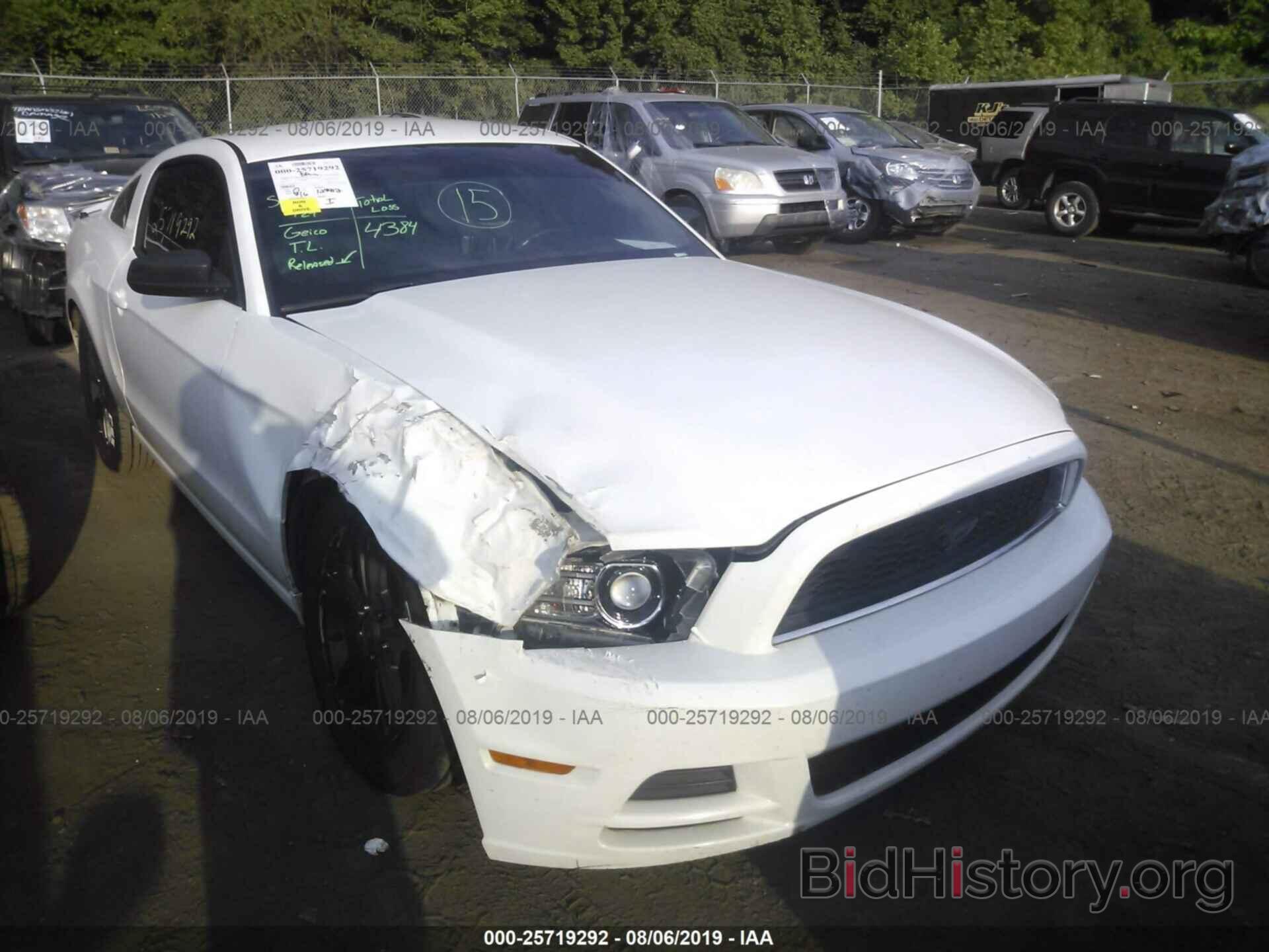 Photo 1ZVBP8AM5D5277351 - FORD MUSTANG 2013