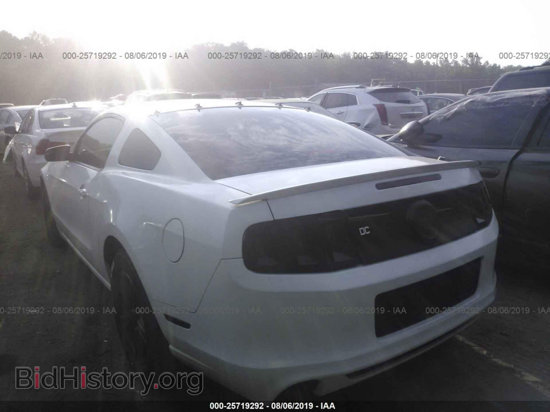 2013 FORD MUSTANG - VIN: 1ZVBP8AM5D5277351 - Фото 3