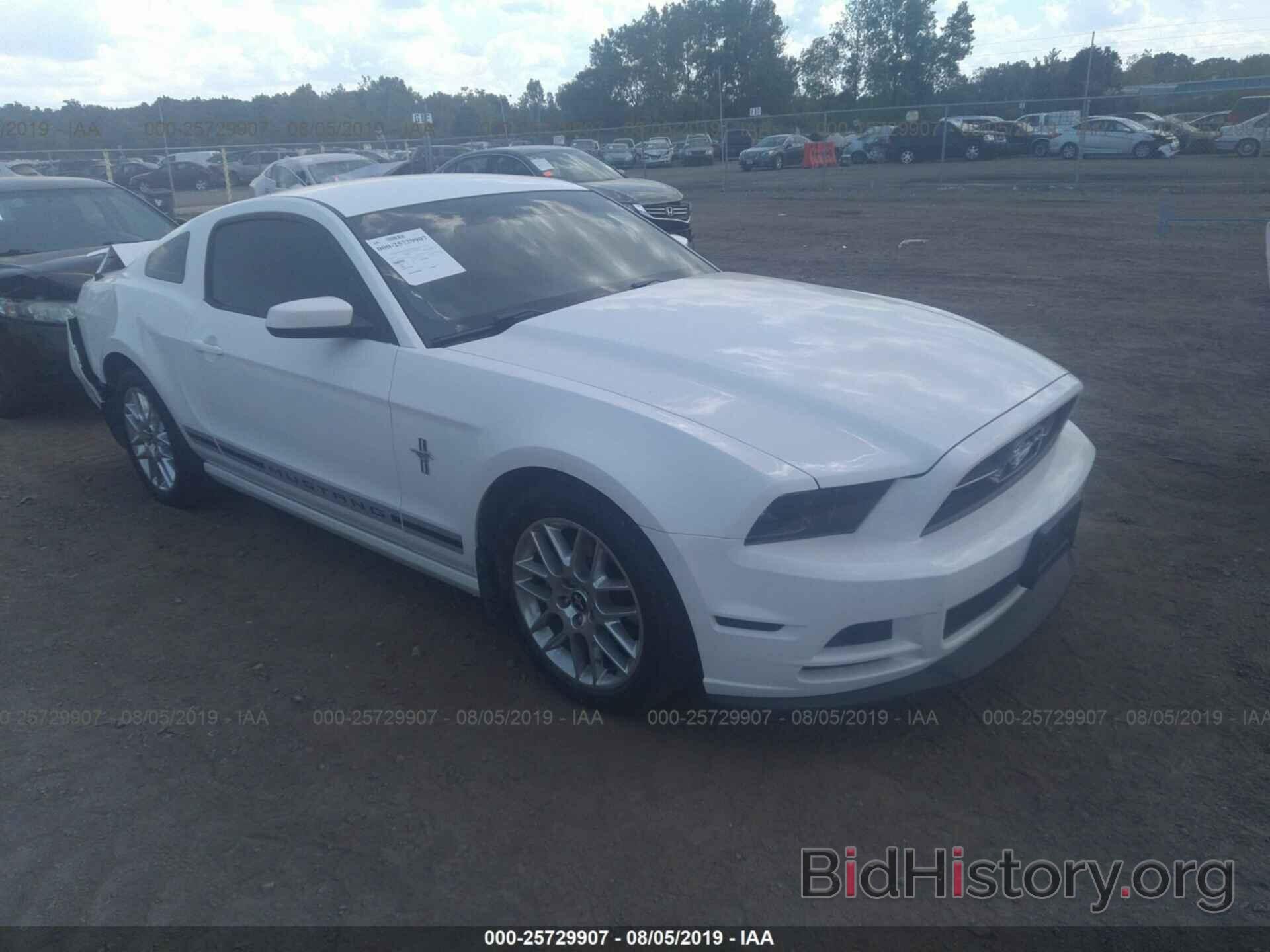 Photo 1ZVBP8AM7D5213120 - FORD MUSTANG 2013