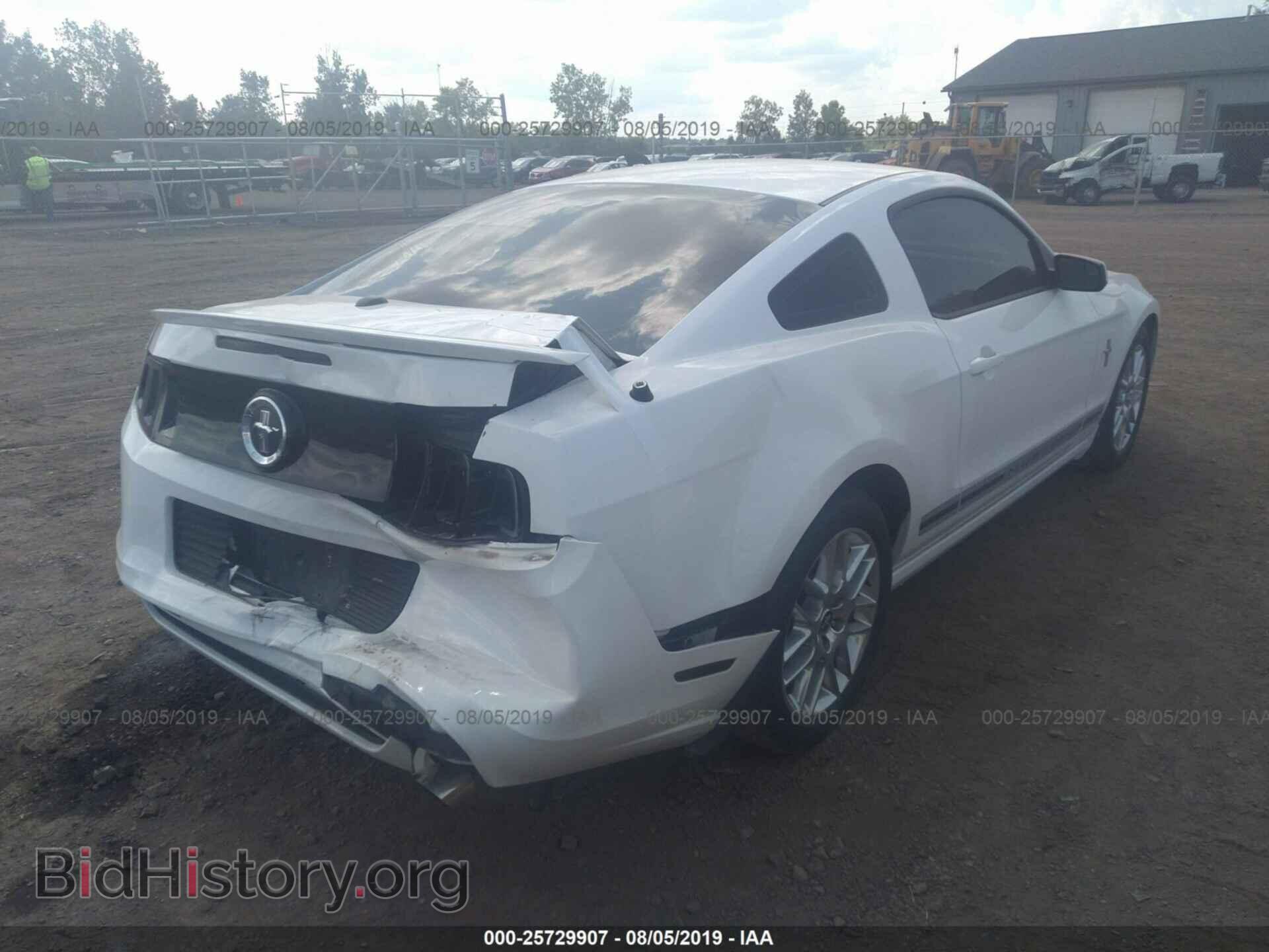 2013 FORD MUSTANG - VIN: 1ZVBP8AM7D5213120 - Фото 4