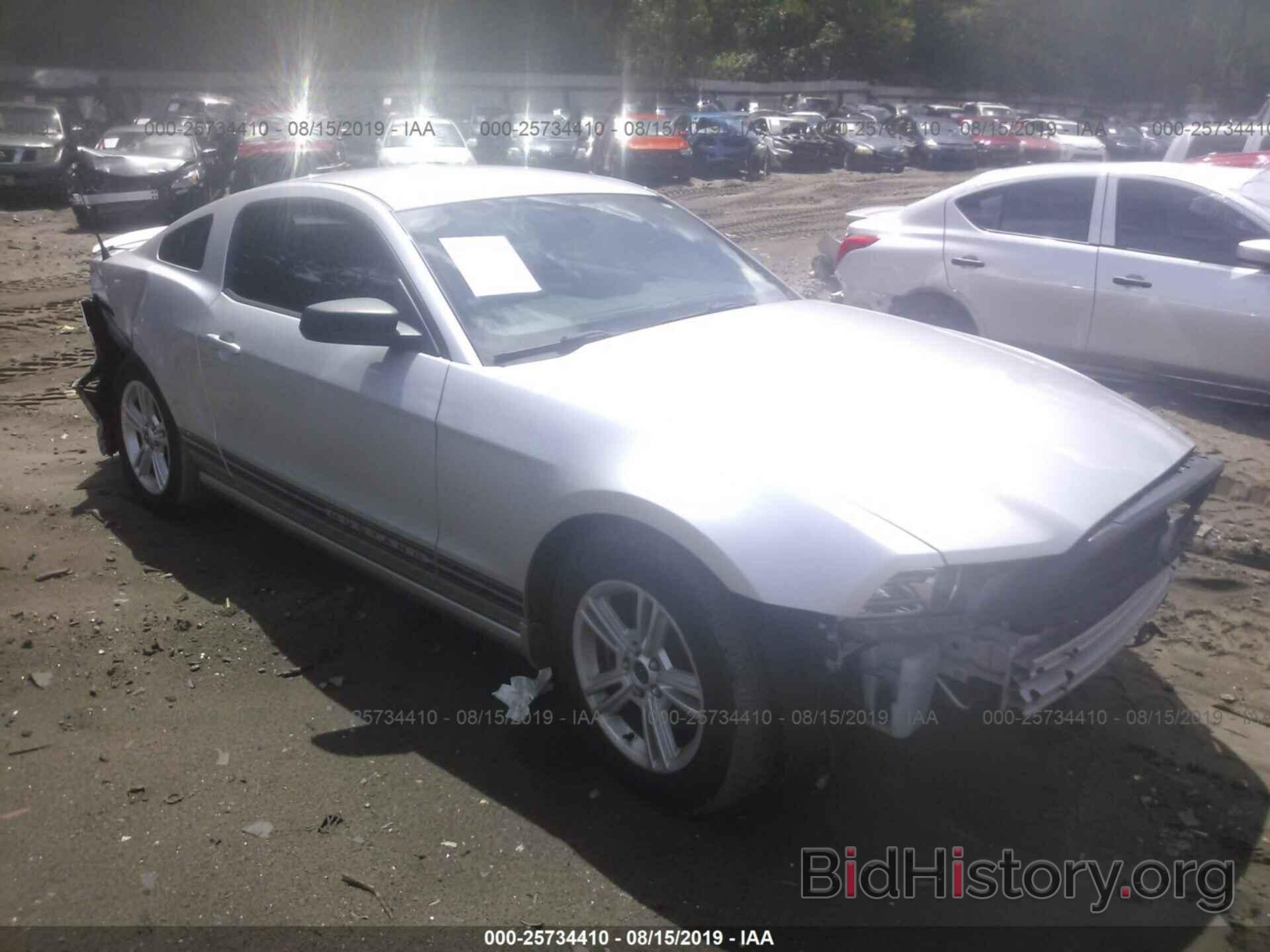 Photo 1ZVBP8AM5D5220583 - FORD MUSTANG 2013