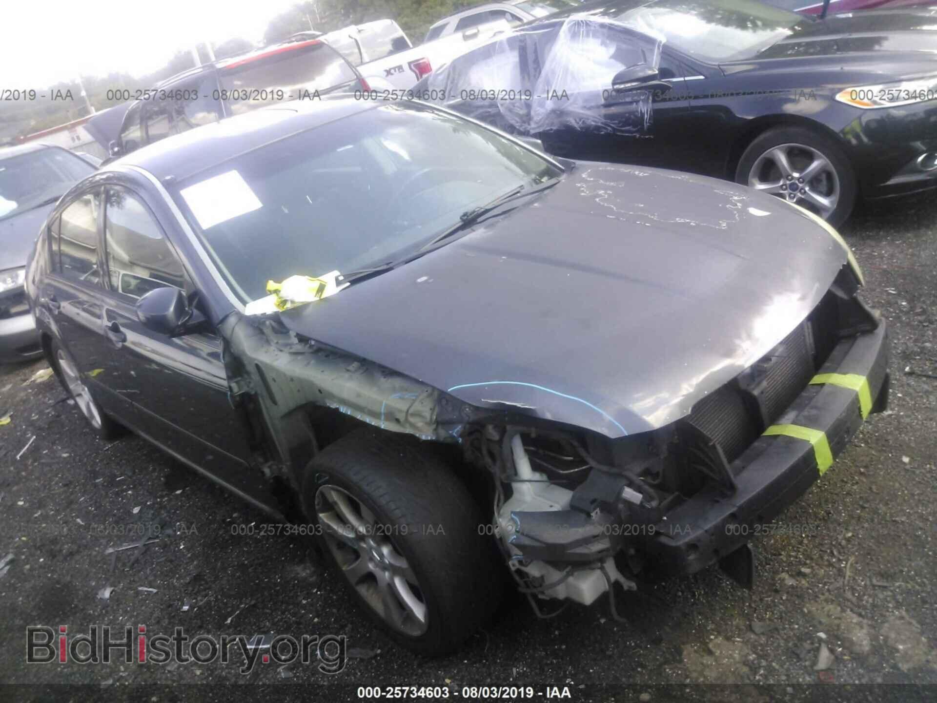 Photo 1N4BA41E58C823921 - NISSAN MAXIMA 2008
