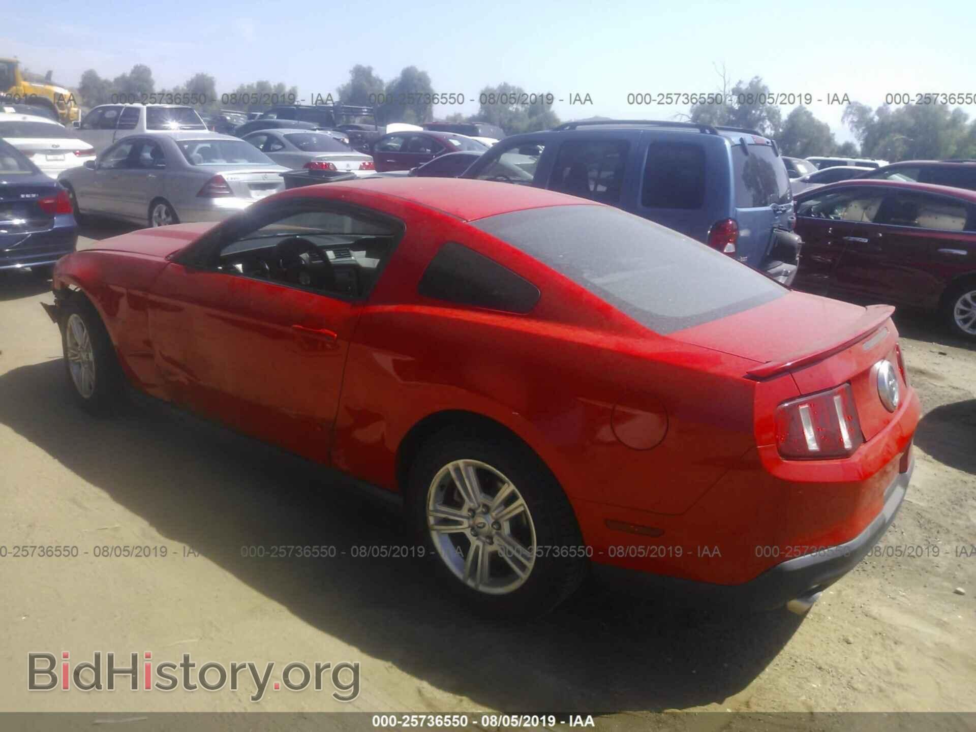 2012 FORD MUSTANG - VIN: 1ZVBP8AM3C5278948 - Фото 3