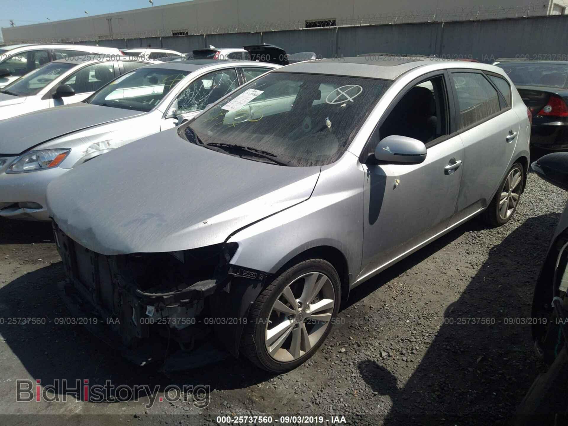 2013 KIA FORTE - VIN: KNAFW5A39D5688455 - Фото 2