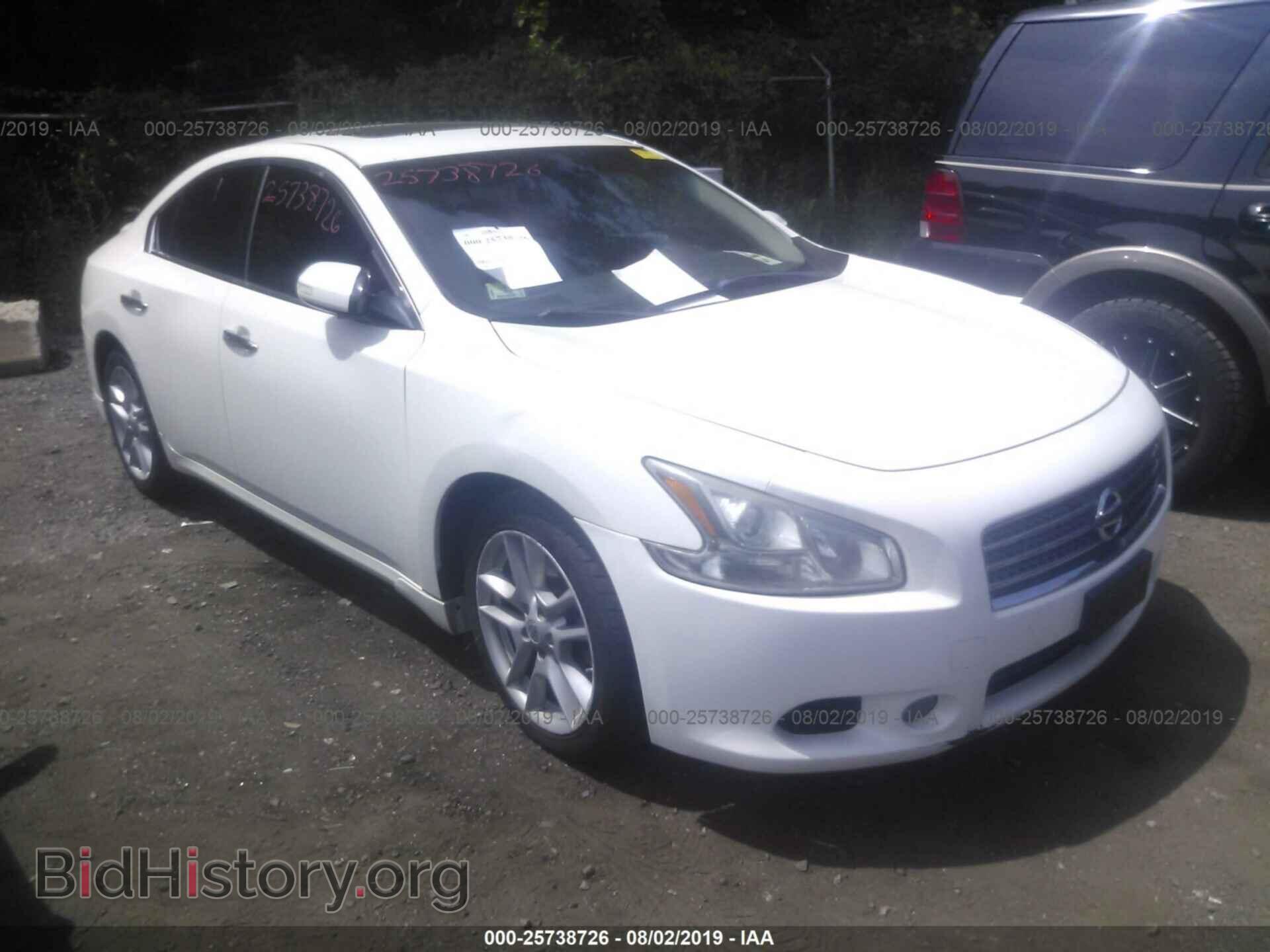 Photo 1N4AA5AP7BC803776 - NISSAN MAXIMA 2011