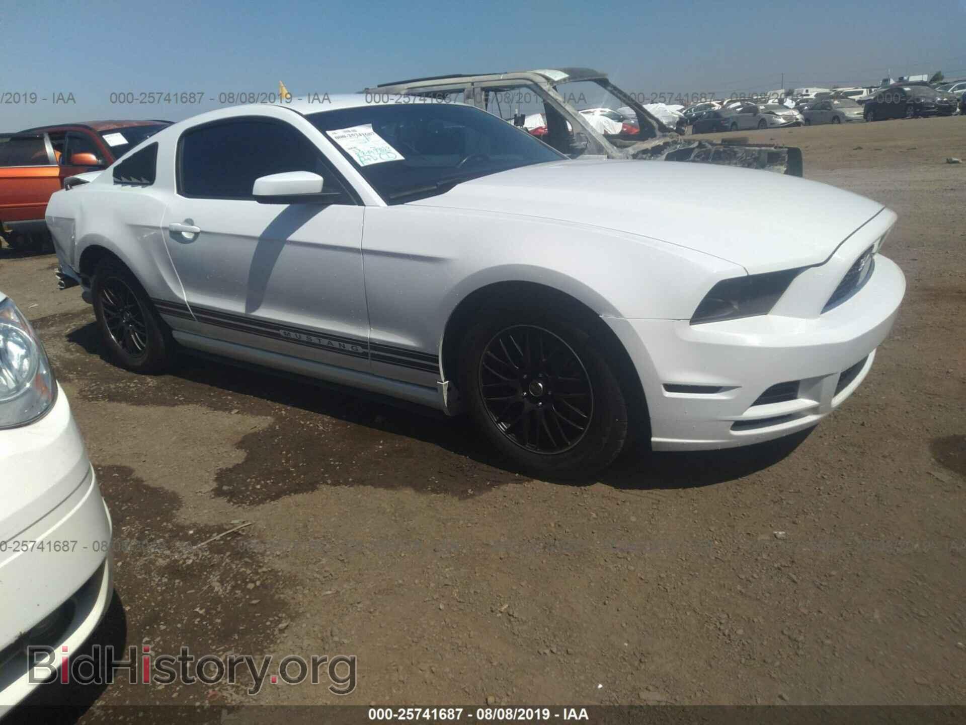 Photo 1ZVBP8AM4E5217837 - FORD MUSTANG 2014