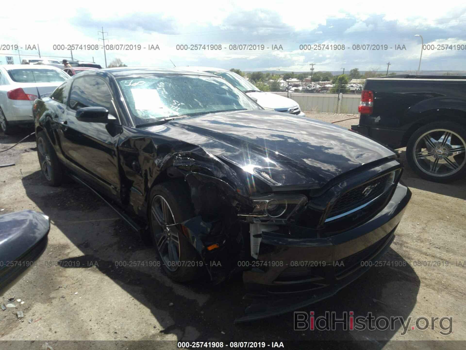 Photo 1ZVBP8AM0D5242958 - FORD MUSTANG 2013