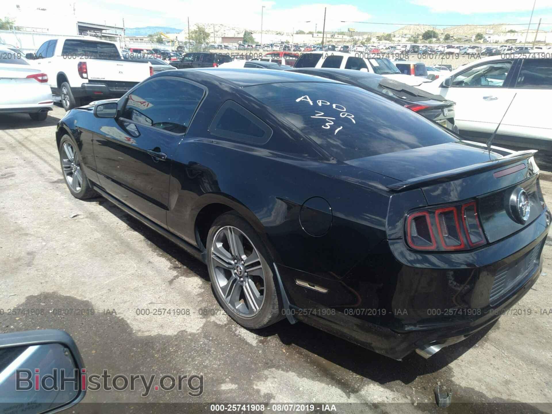2013 FORD MUSTANG - VIN: 1ZVBP8AM0D5242958 - Фото 3