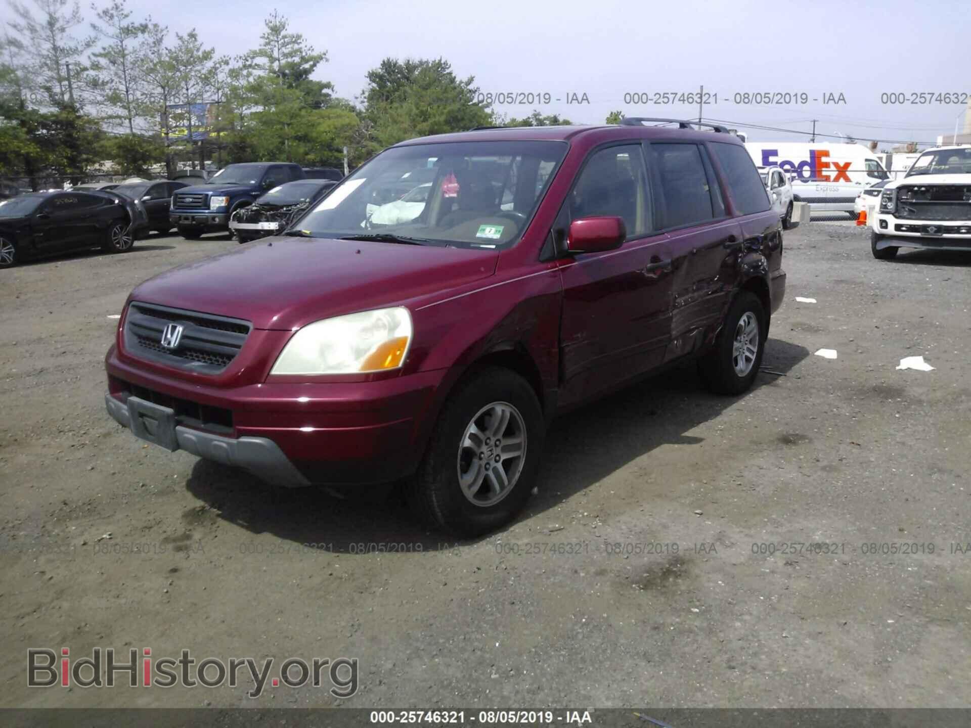 2005 HONDA PILOT - VIN: 5FNYF18555B028411 - Фото 2