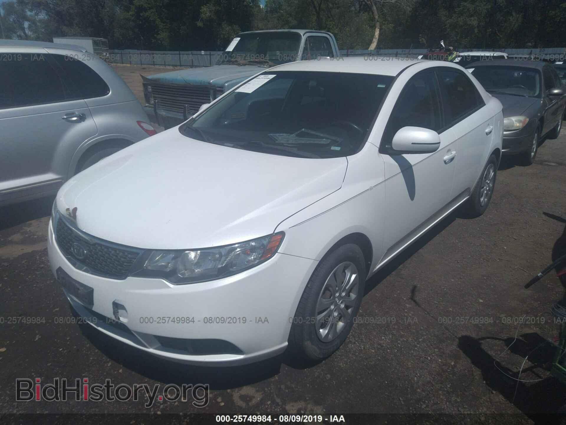 2012 KIA FORTE - VIN: KNAFU4A26C5574564 - Фото 2