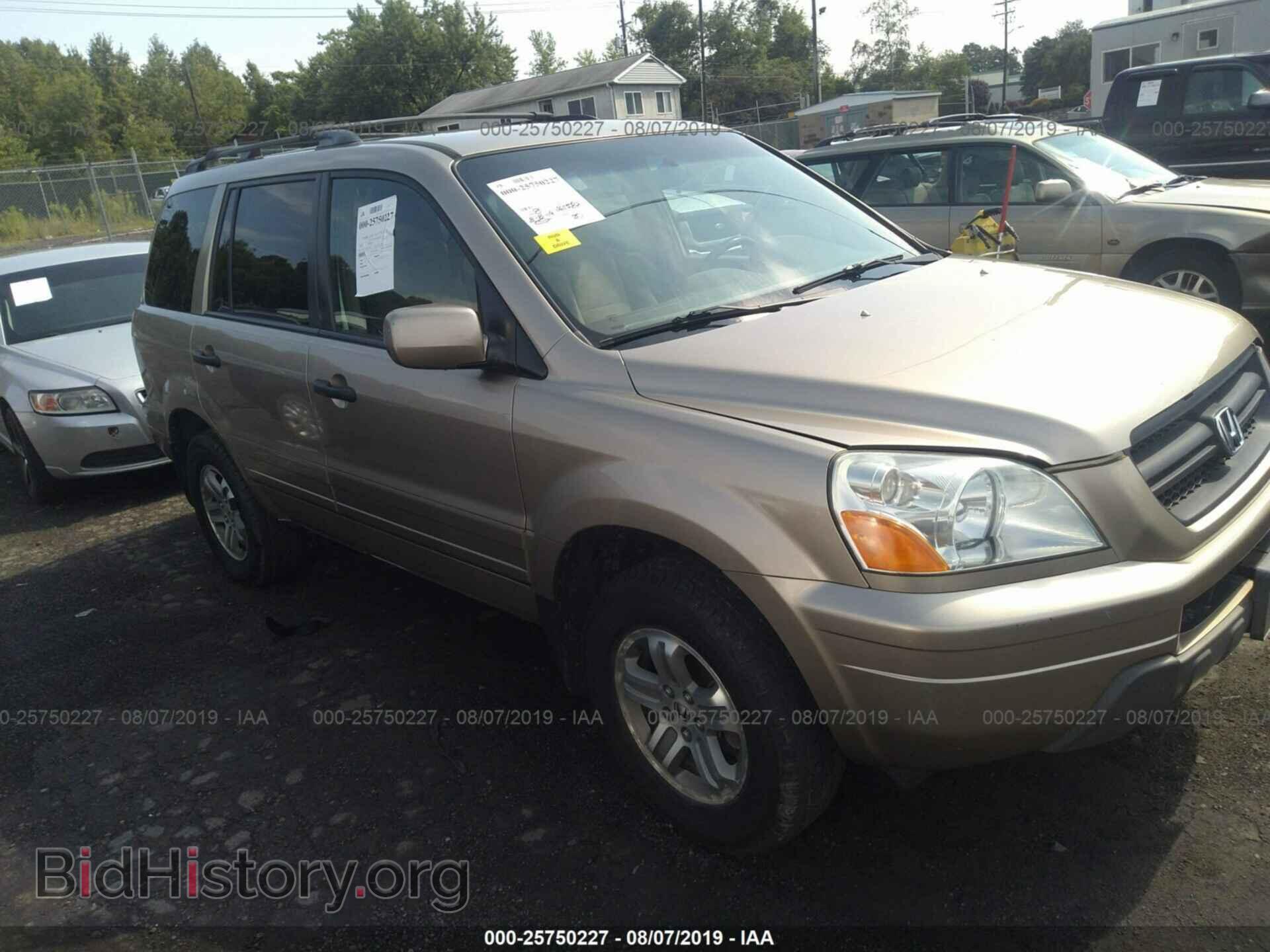 Photo 2HKYF18405H503701 - HONDA PILOT 2005