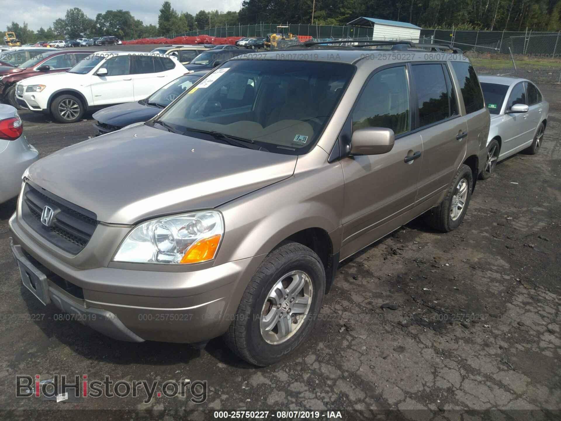 2005 HONDA PILOT - VIN: 2HKYF18405H503701 - Фото 2