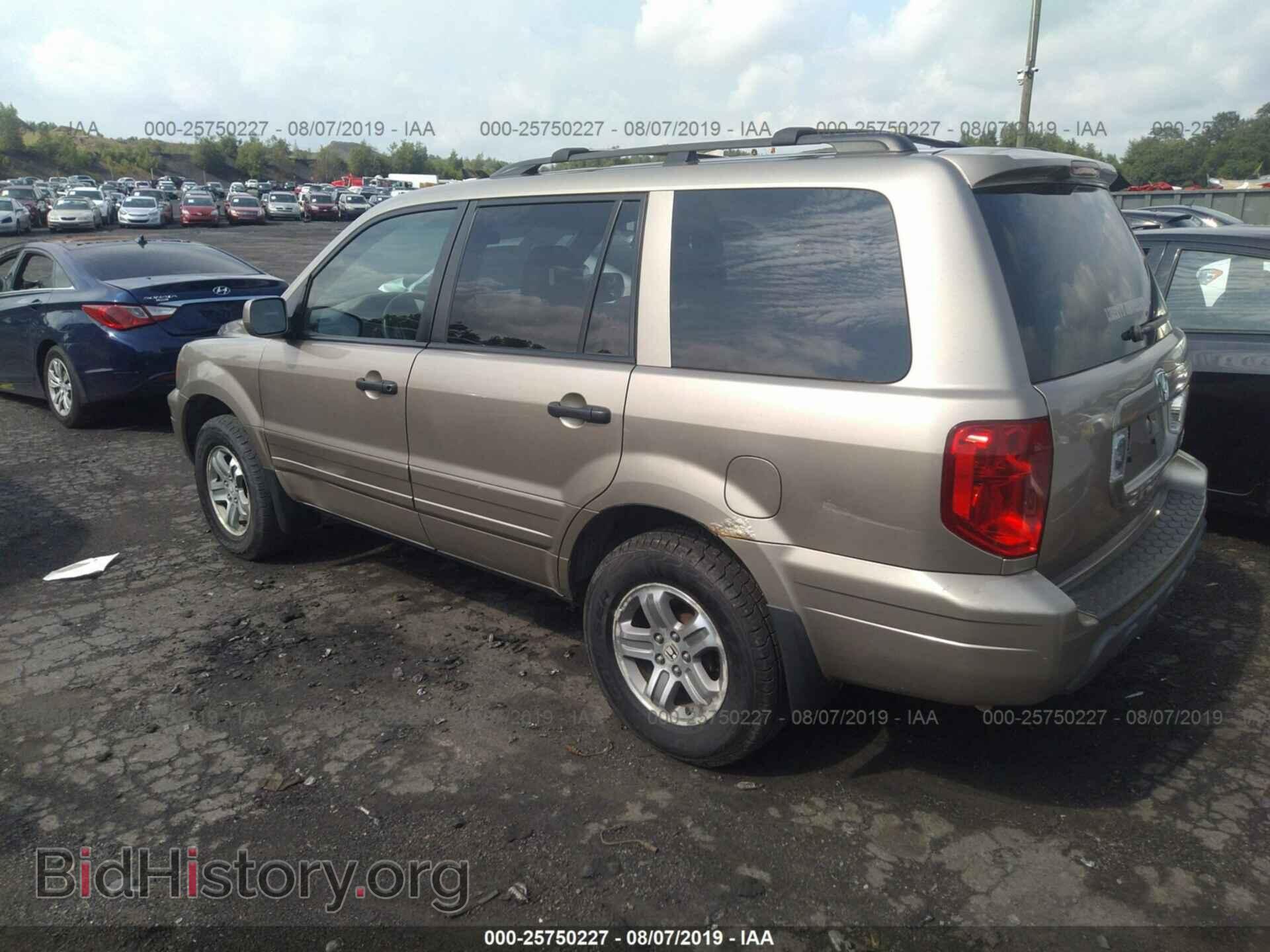 2005 HONDA PILOT - VIN: 2HKYF18405H503701 - Фото 3