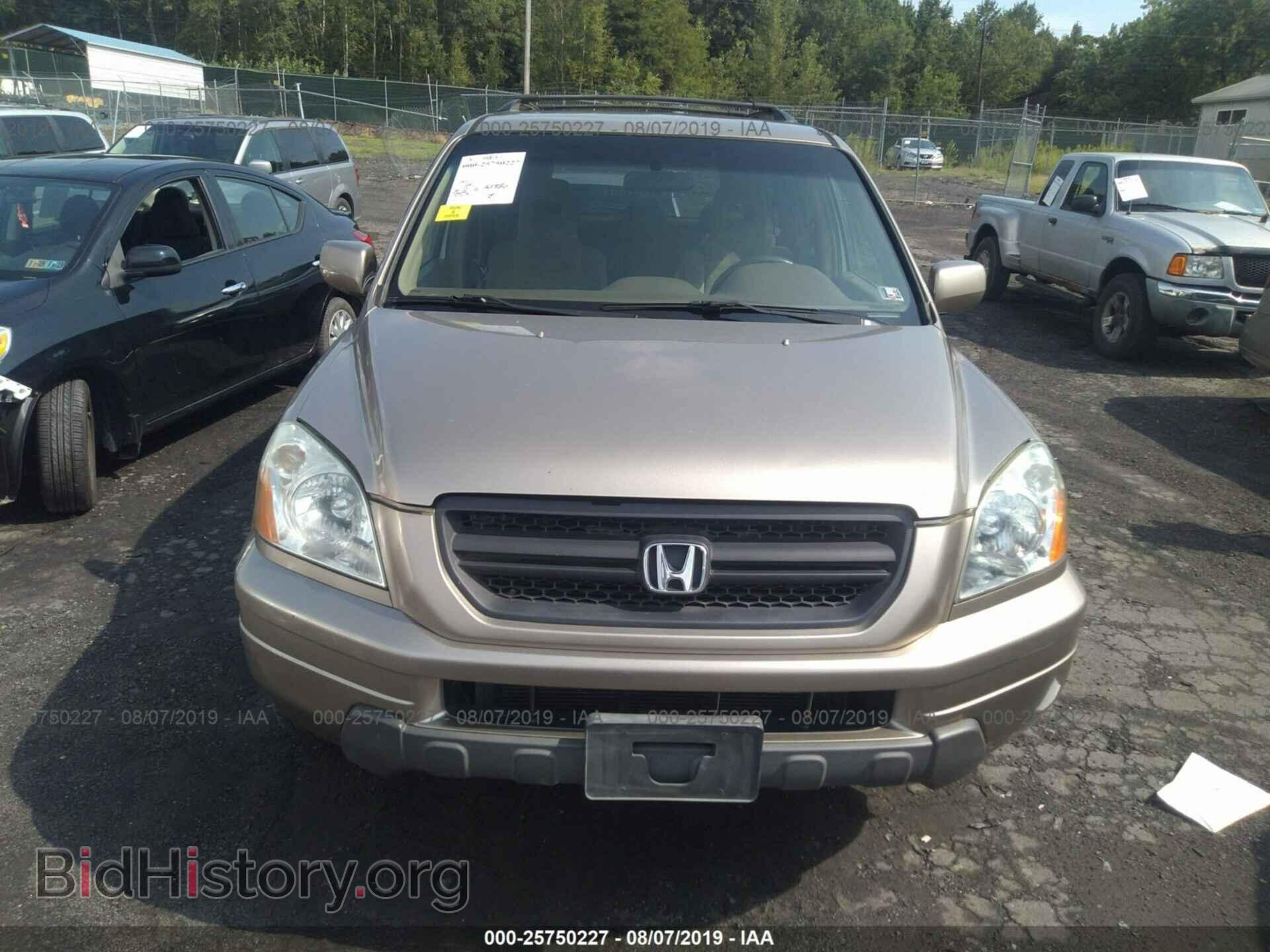 2005 HONDA PILOT - VIN: 2HKYF18405H503701 - Фото 6