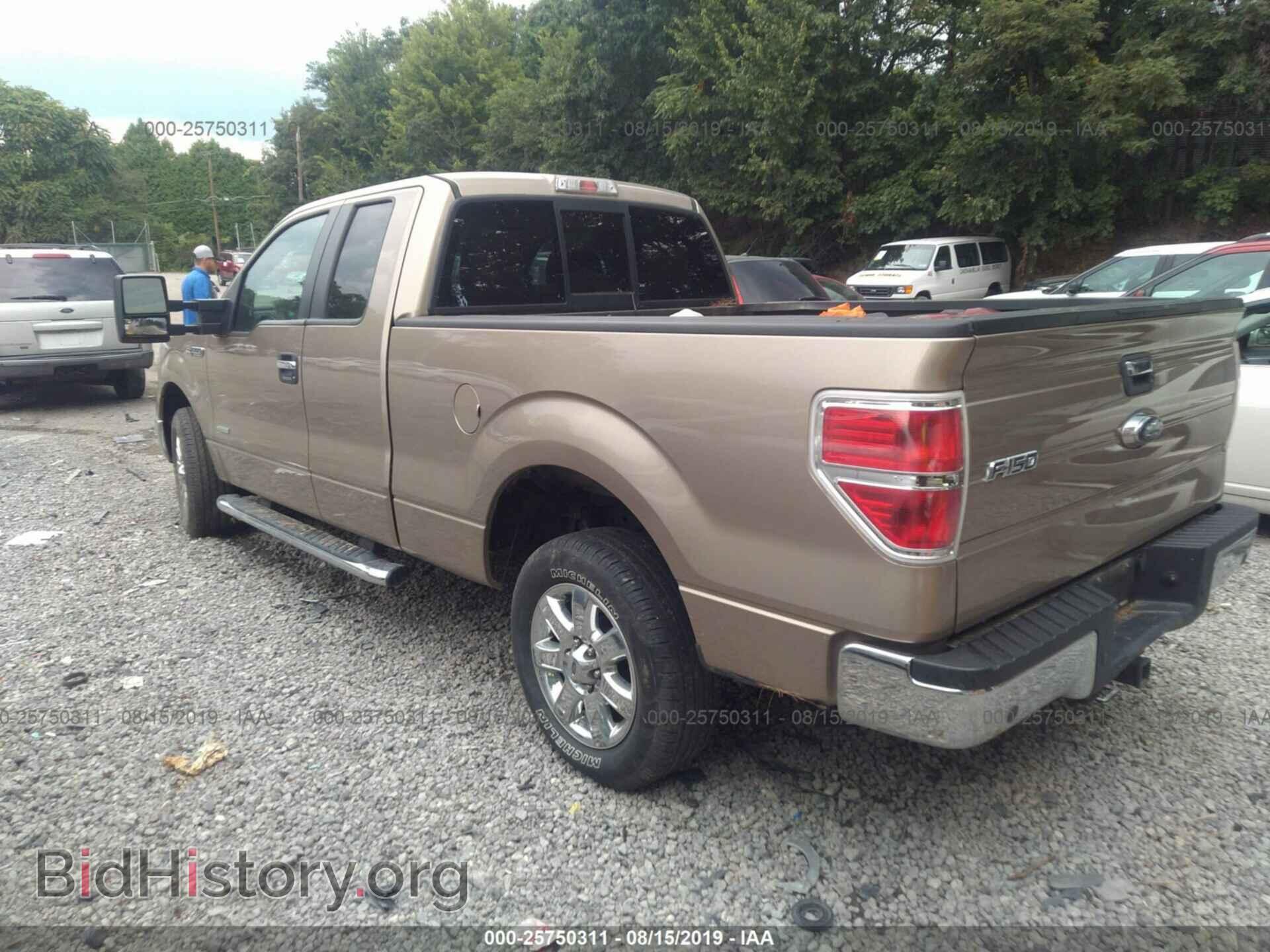 2013 FORD F150 - VIN: 1FTFX1CT7DFD95718 - Фото 3