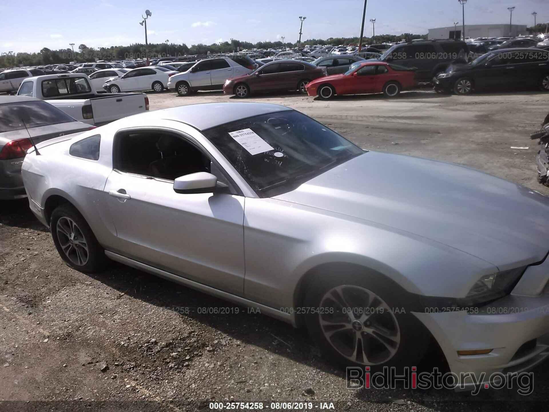 Photo 1ZVBP8AM7D5267677 - FORD MUSTANG 2013