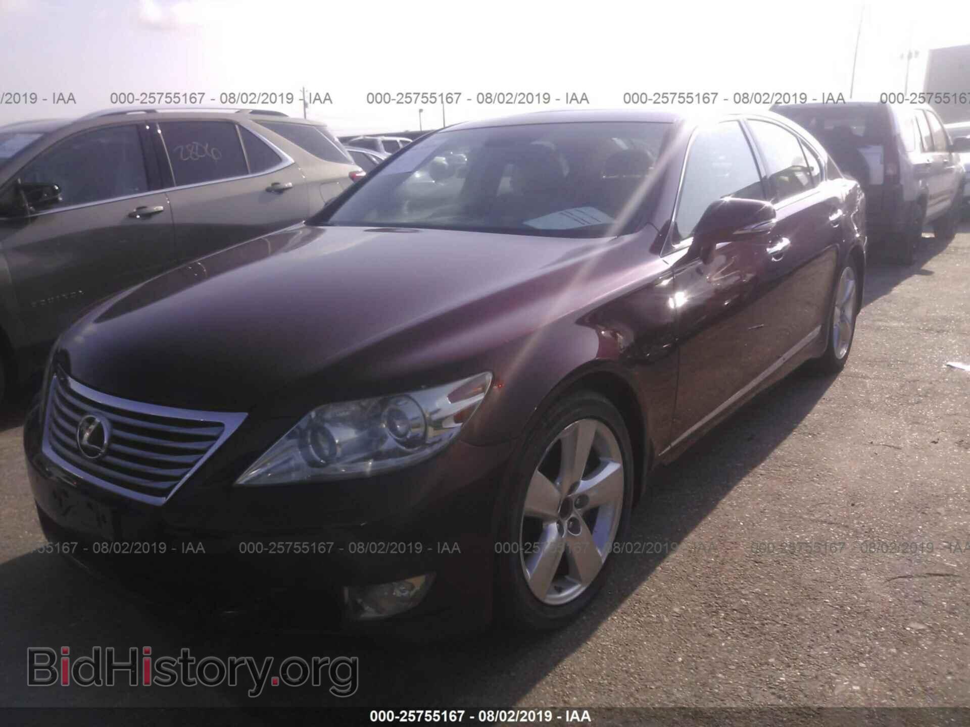 2010 LEXUS LS - VIN: JTHBL5EF9A5099463 - Фото 2