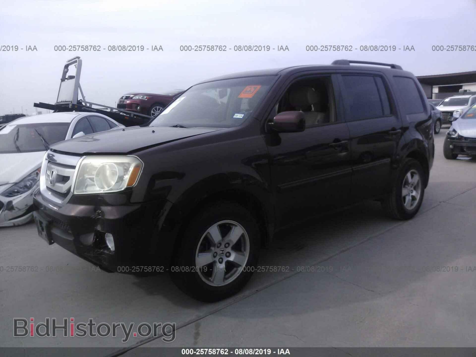 2009 HONDA PILOT - VIN: 5FNYF38509B017611 - Фото 2