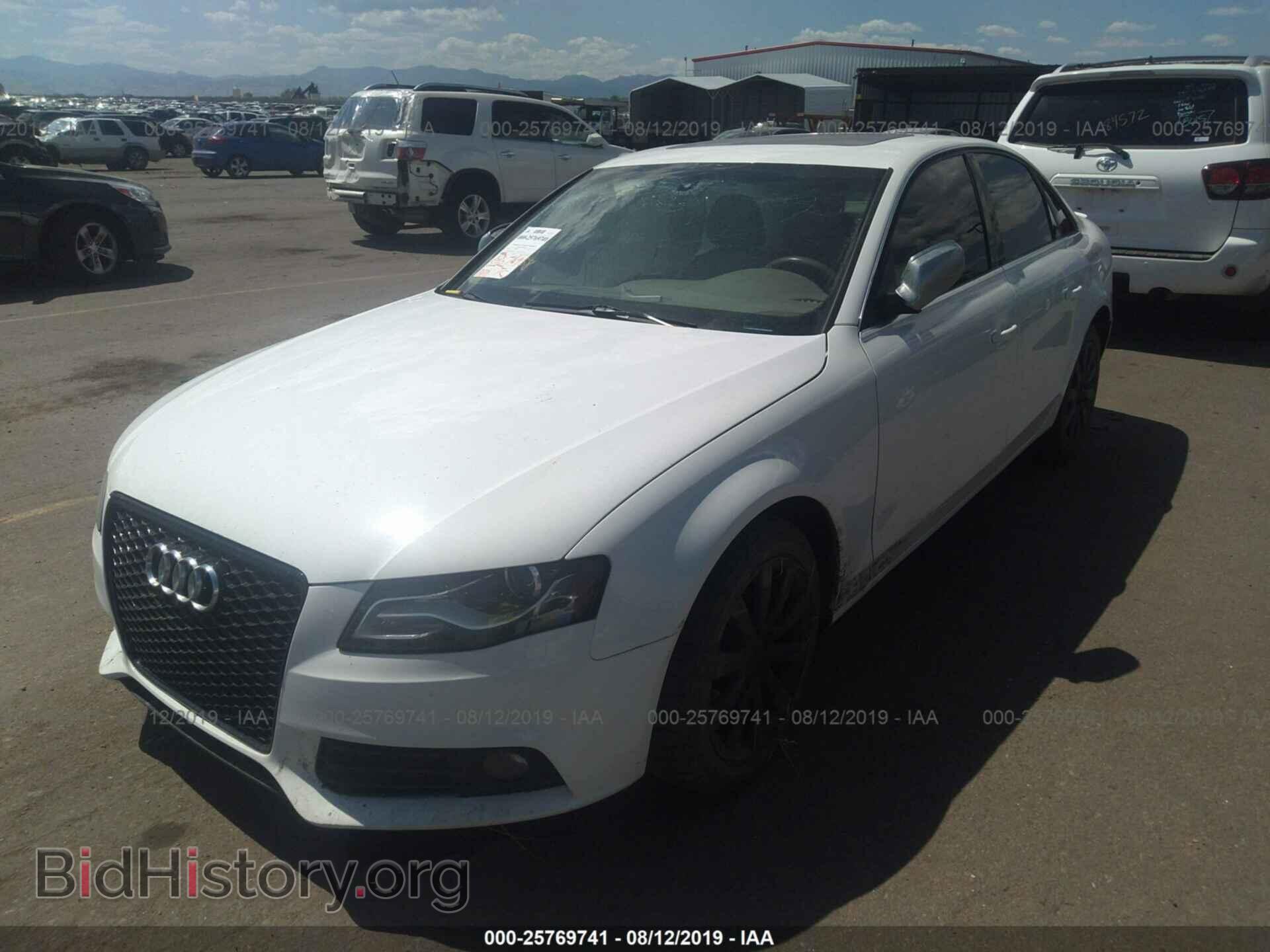 2010 AUDI A4 - VIN: WAUFFAFL8AN030588 - Фото 2