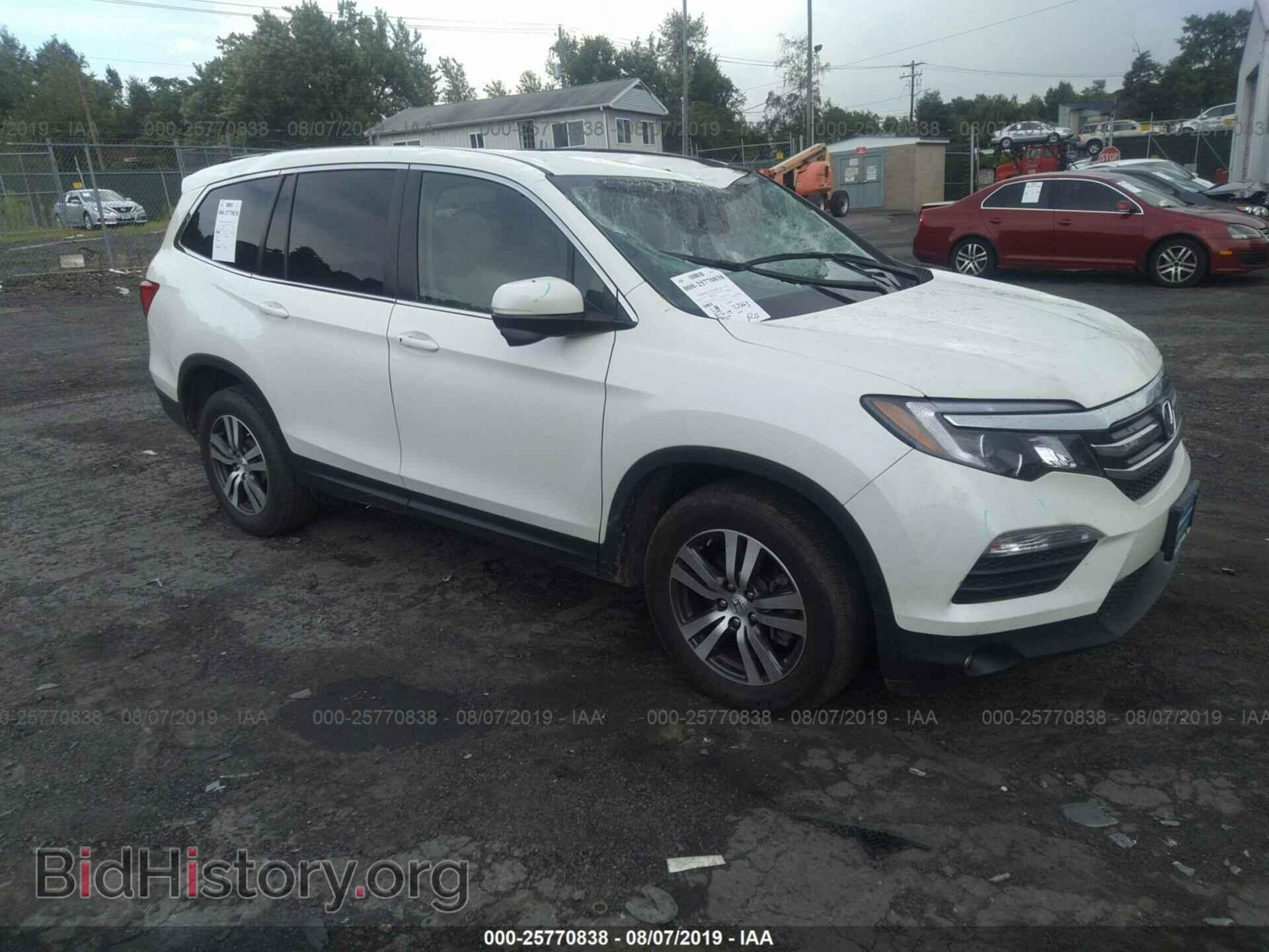 Photo 5FNYF6H55HB067517 - HONDA PILOT 2017